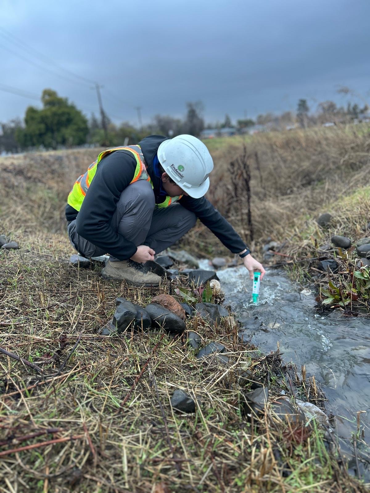 Our Services — Endemic Environmental Services
