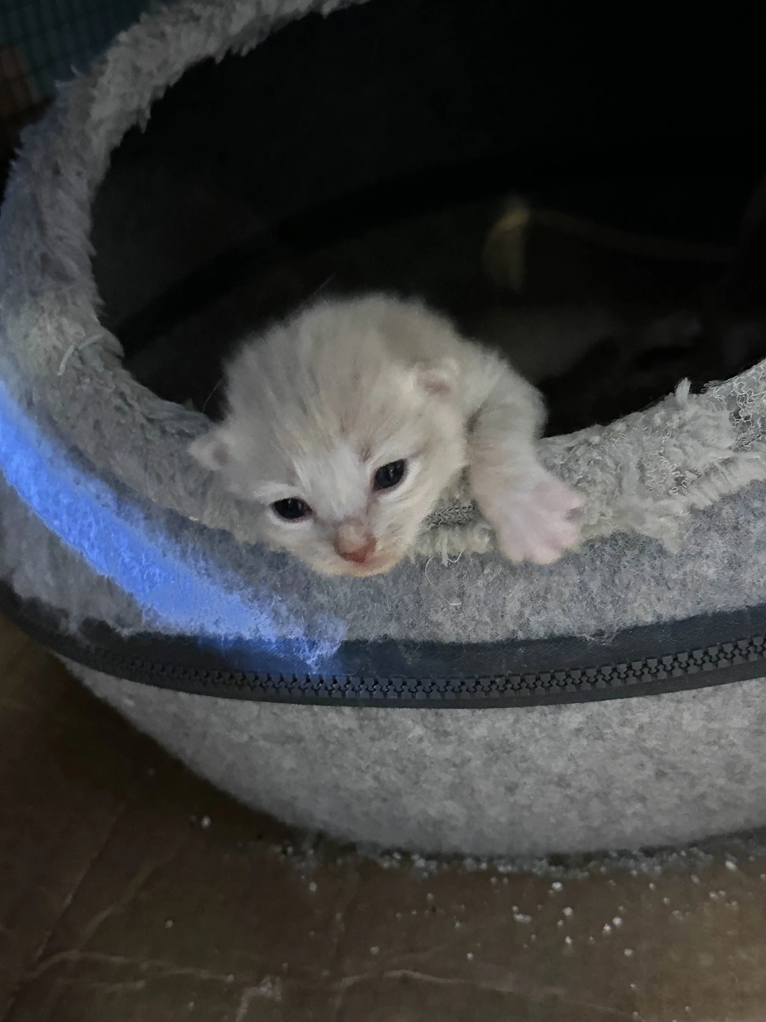 John, Jerome, JJ, Barbara