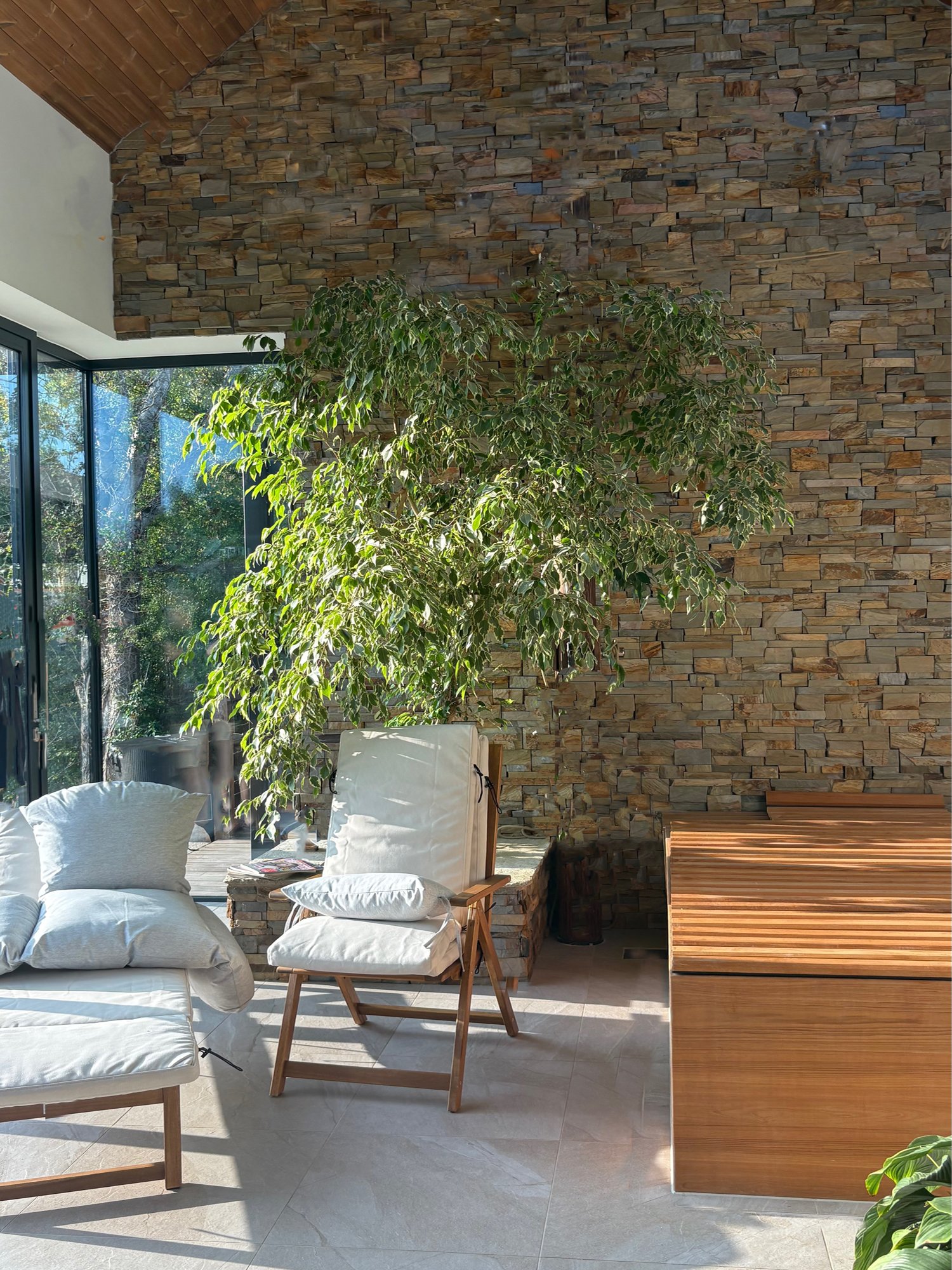 INTERNAL brick wall tree 1_.jpg