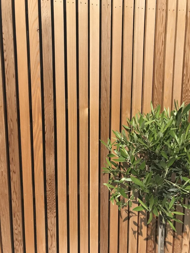 Detail of plant and cedar cladding