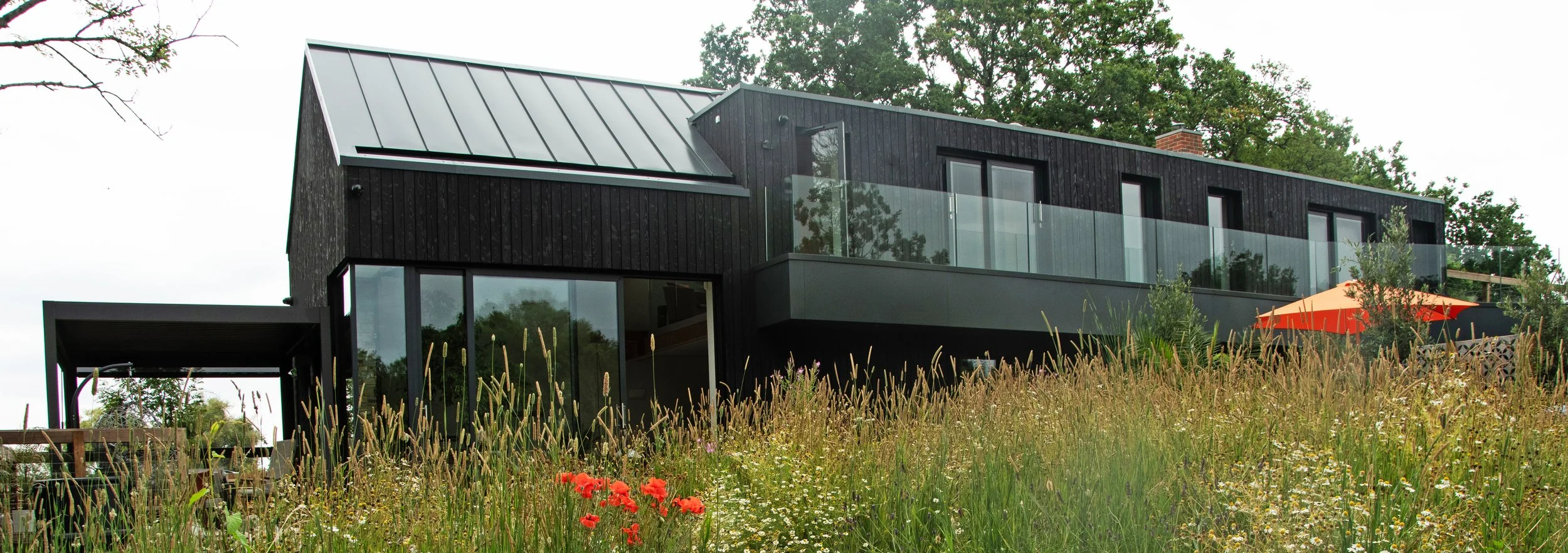 whole house lower.jpg