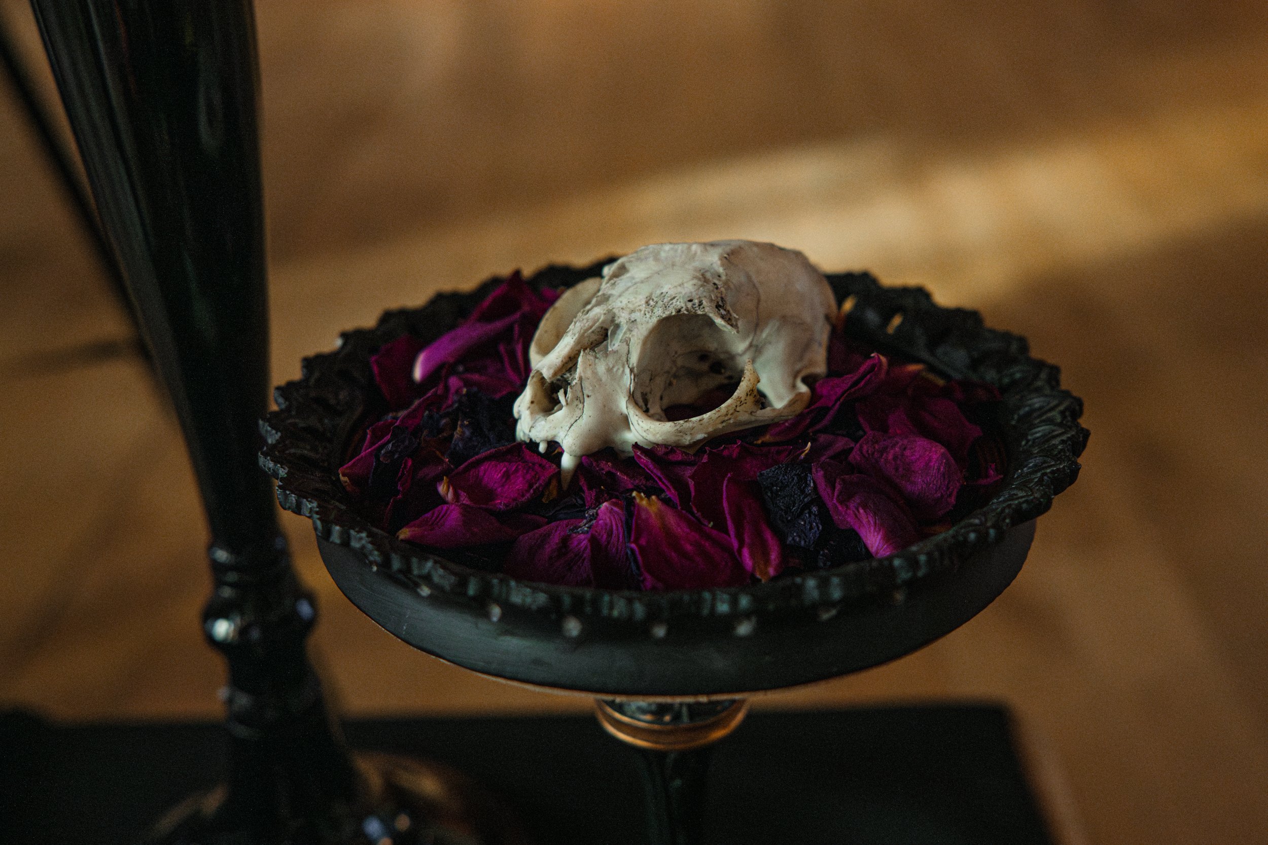 TilDeath-Rochdale-Town-Hall-116.jpg