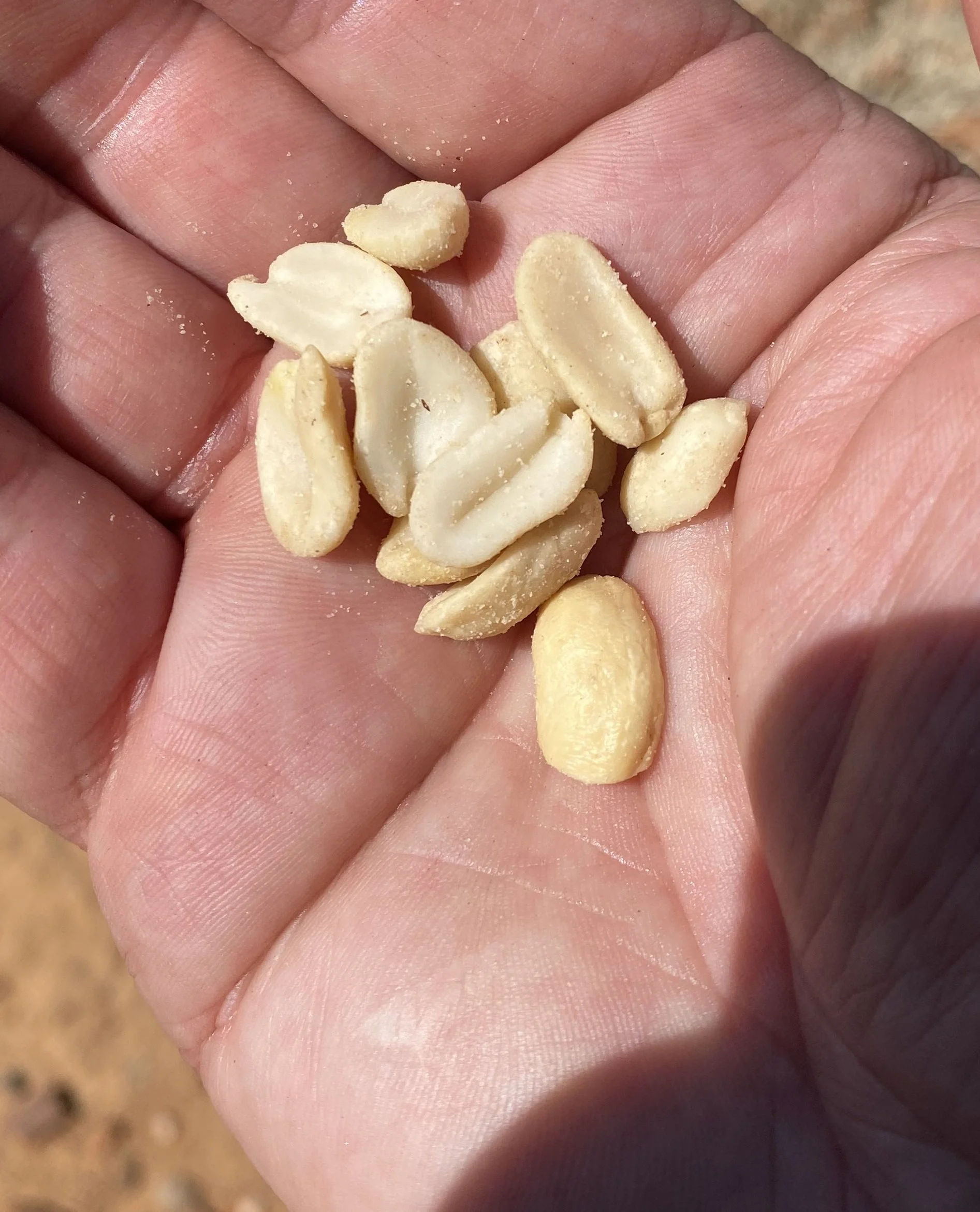 Eleven - Morality Play