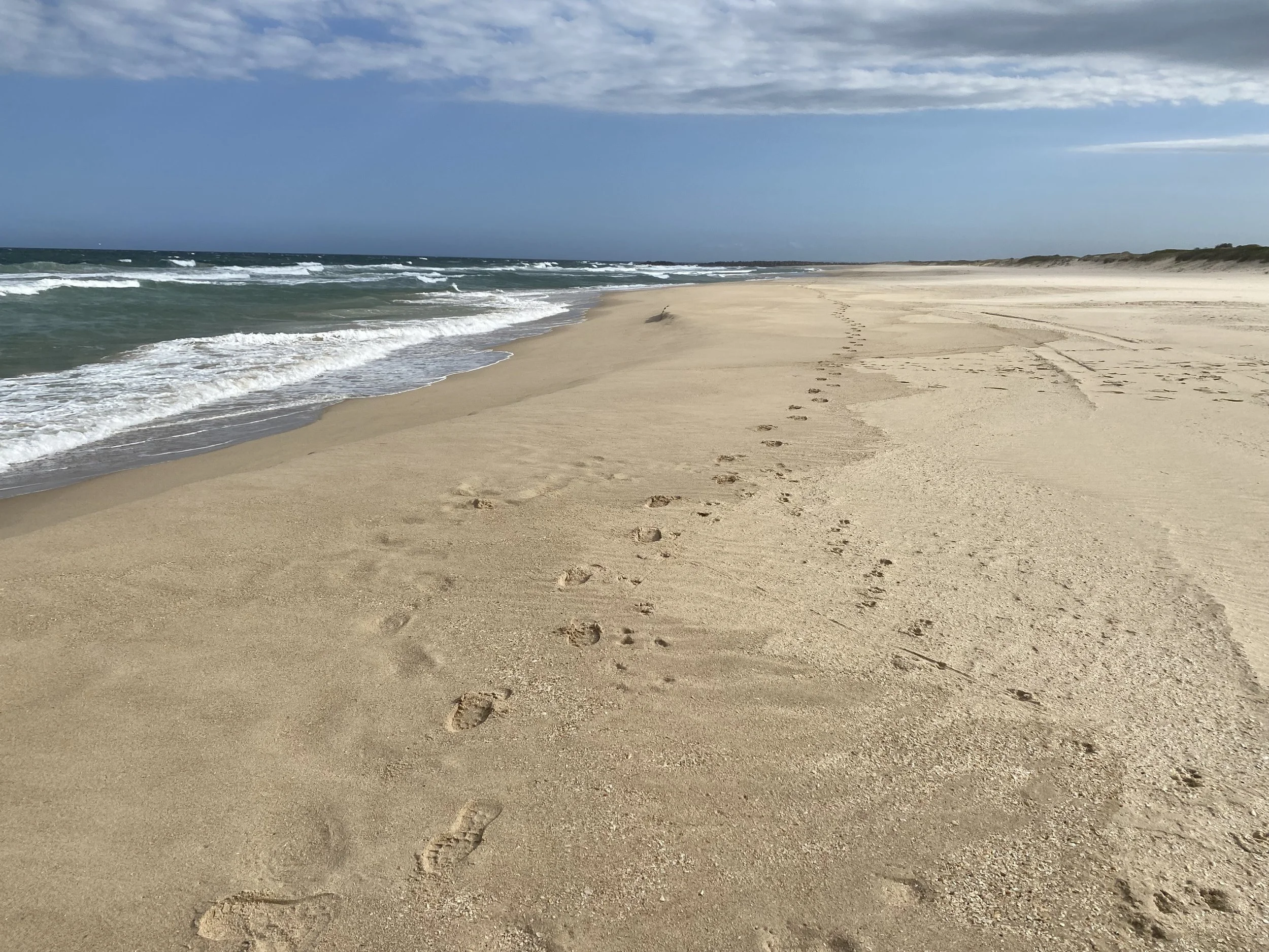 Sixteen - The Last Swim