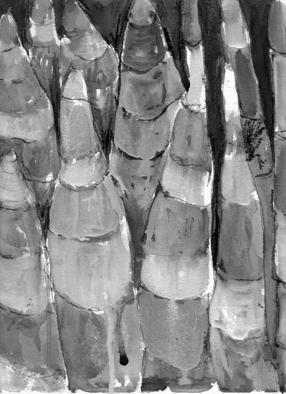 Twenty - The Burial - A Play for Radio