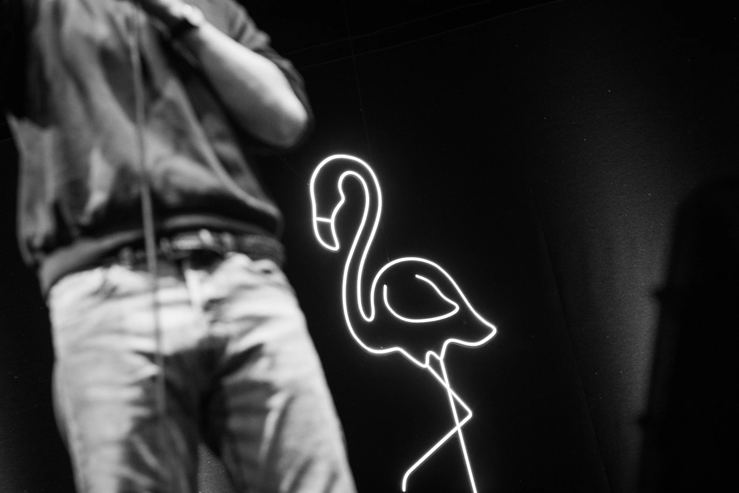 Flamingo Firenze_3512.jpg