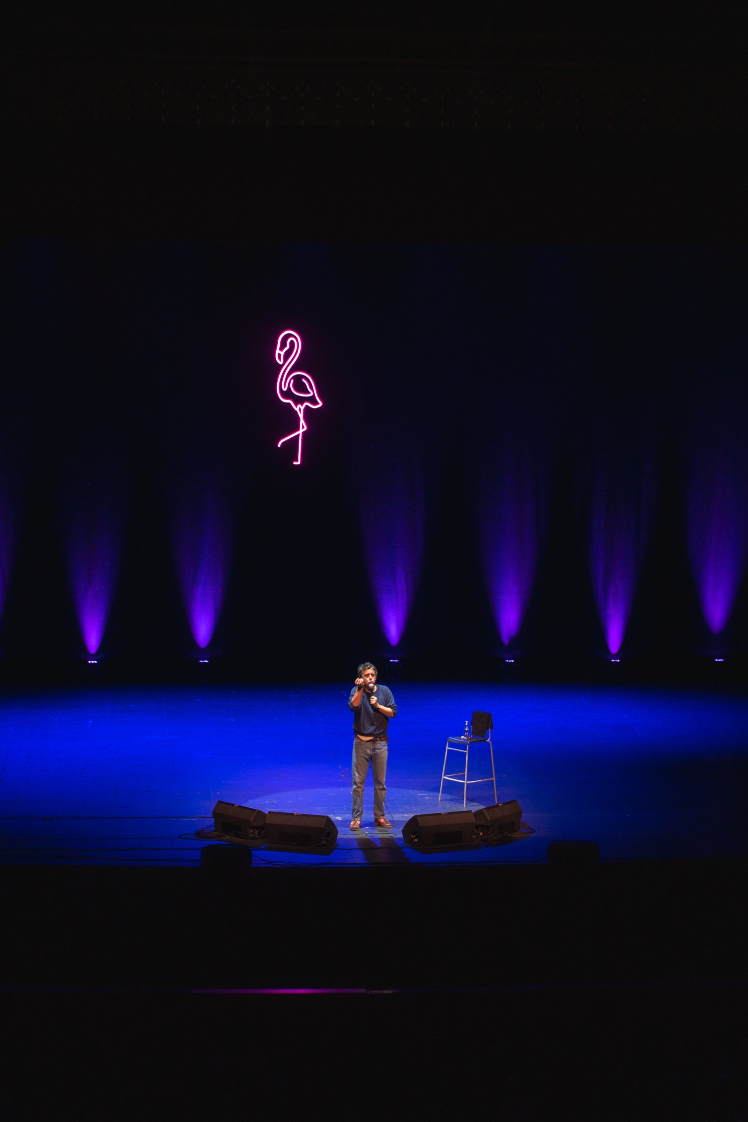 A man stands on a stage with a microphone, with a neon pink flamingo sign above him and purple lights on the back wall.
