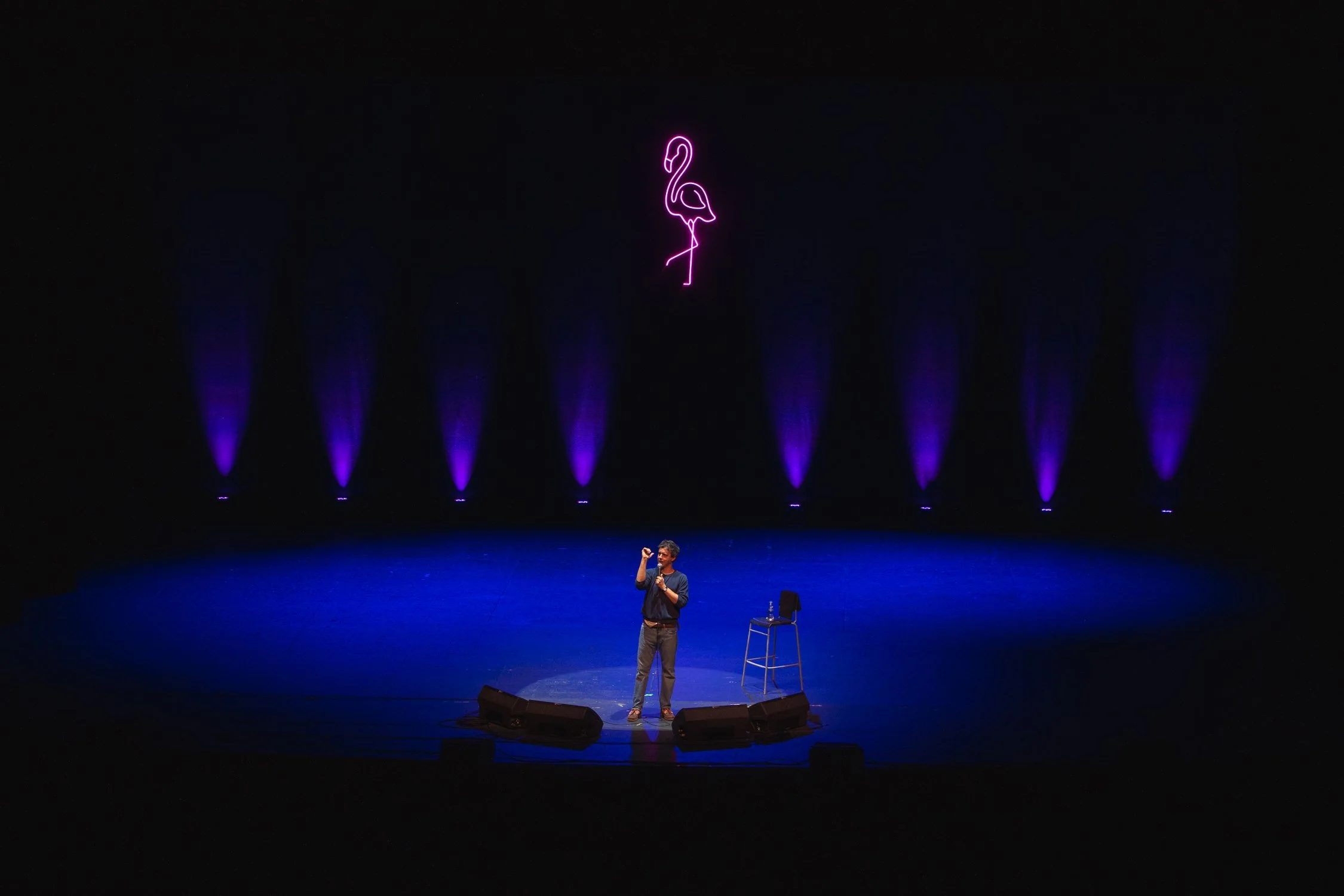 A man performs on stage in front of an audience, with a neon flamingo light hanging above and purple spotlights shining behind him.