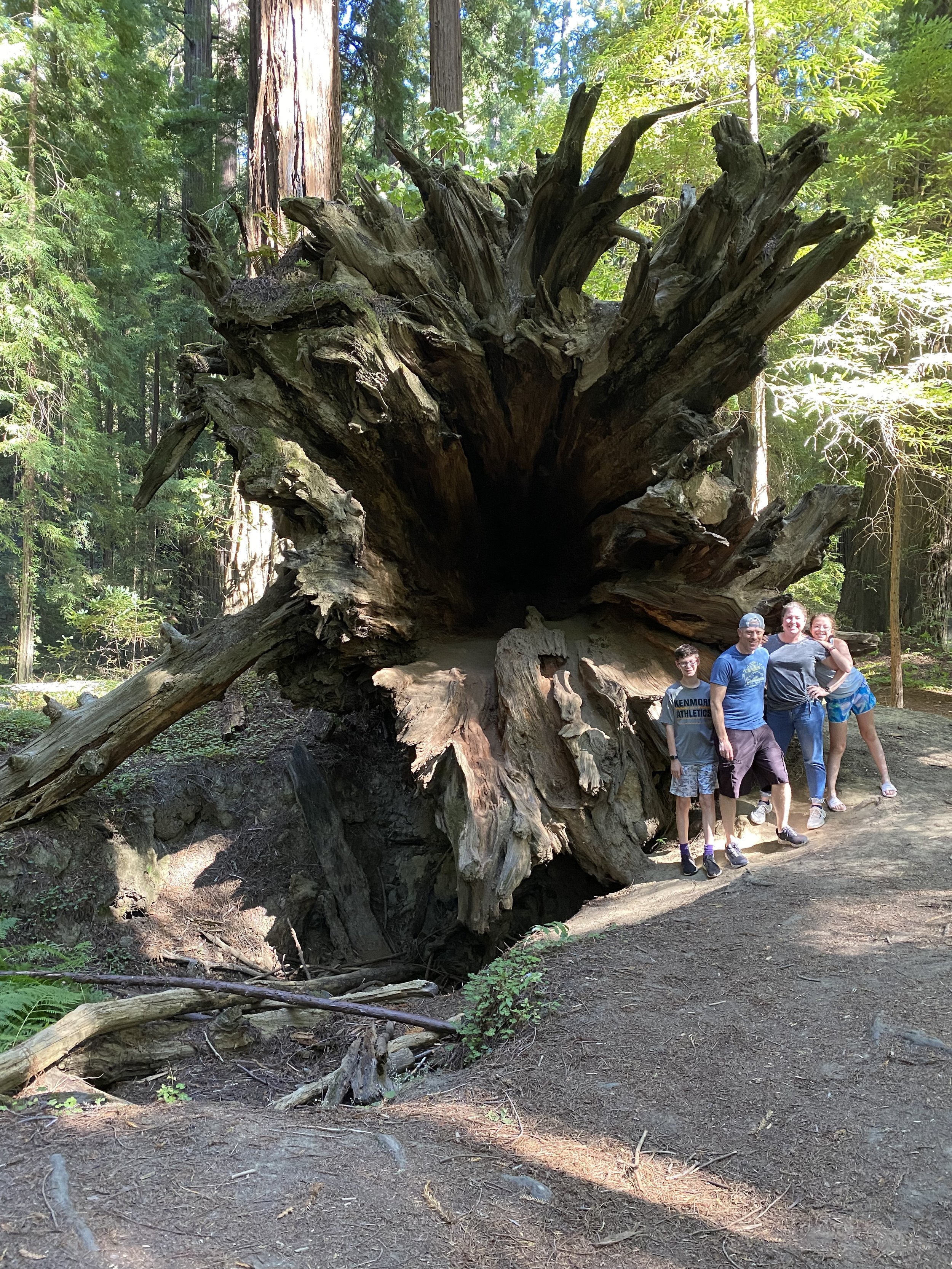 Family in Redwood Forest California