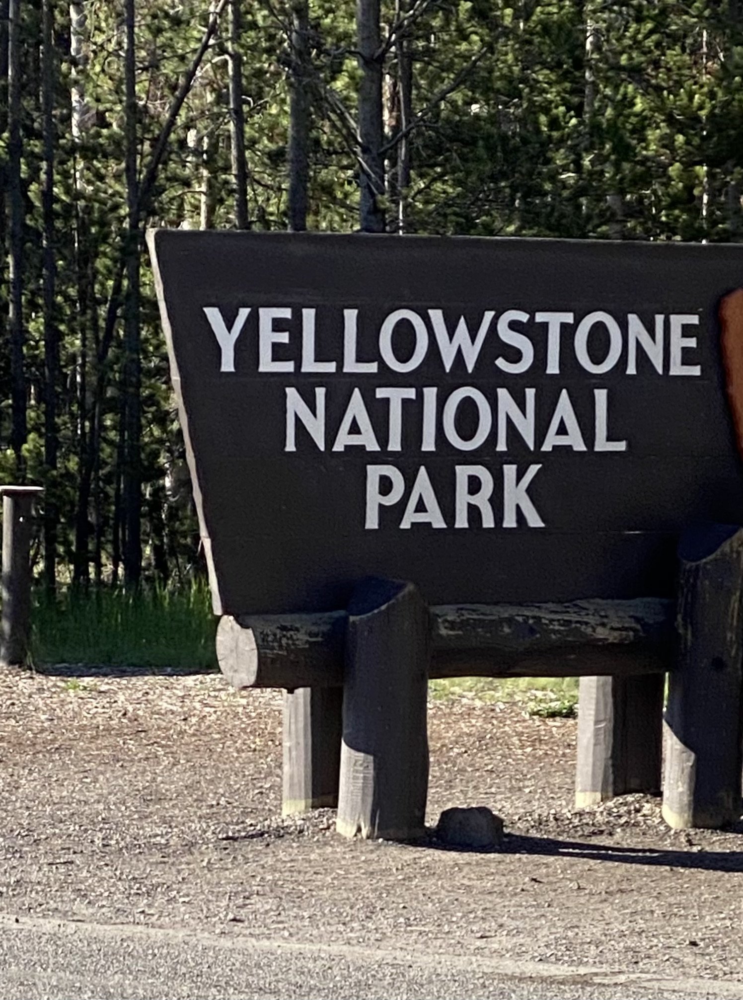 YNP Sign.jpeg