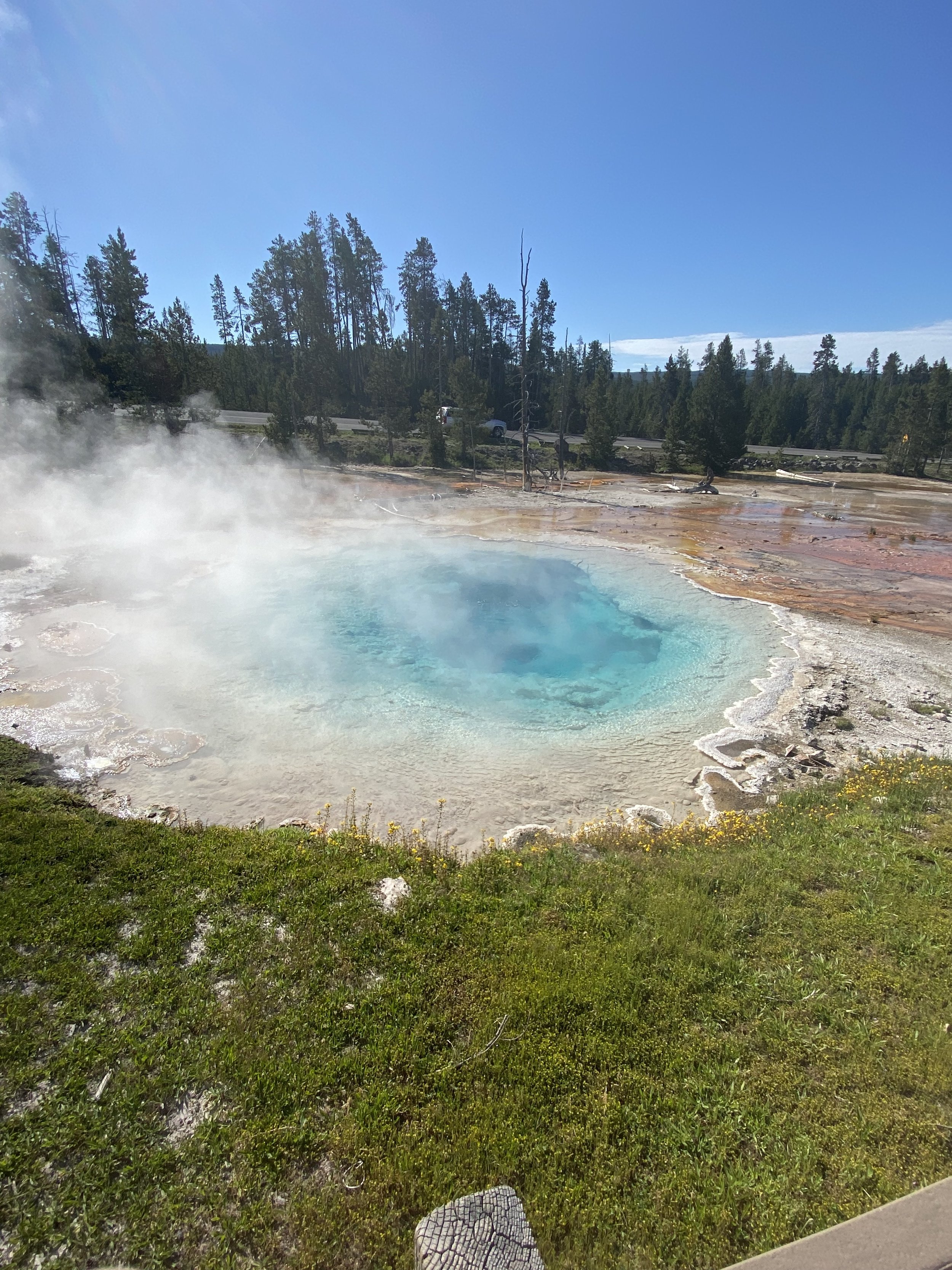 YNP Thermal Pool.jpeg
