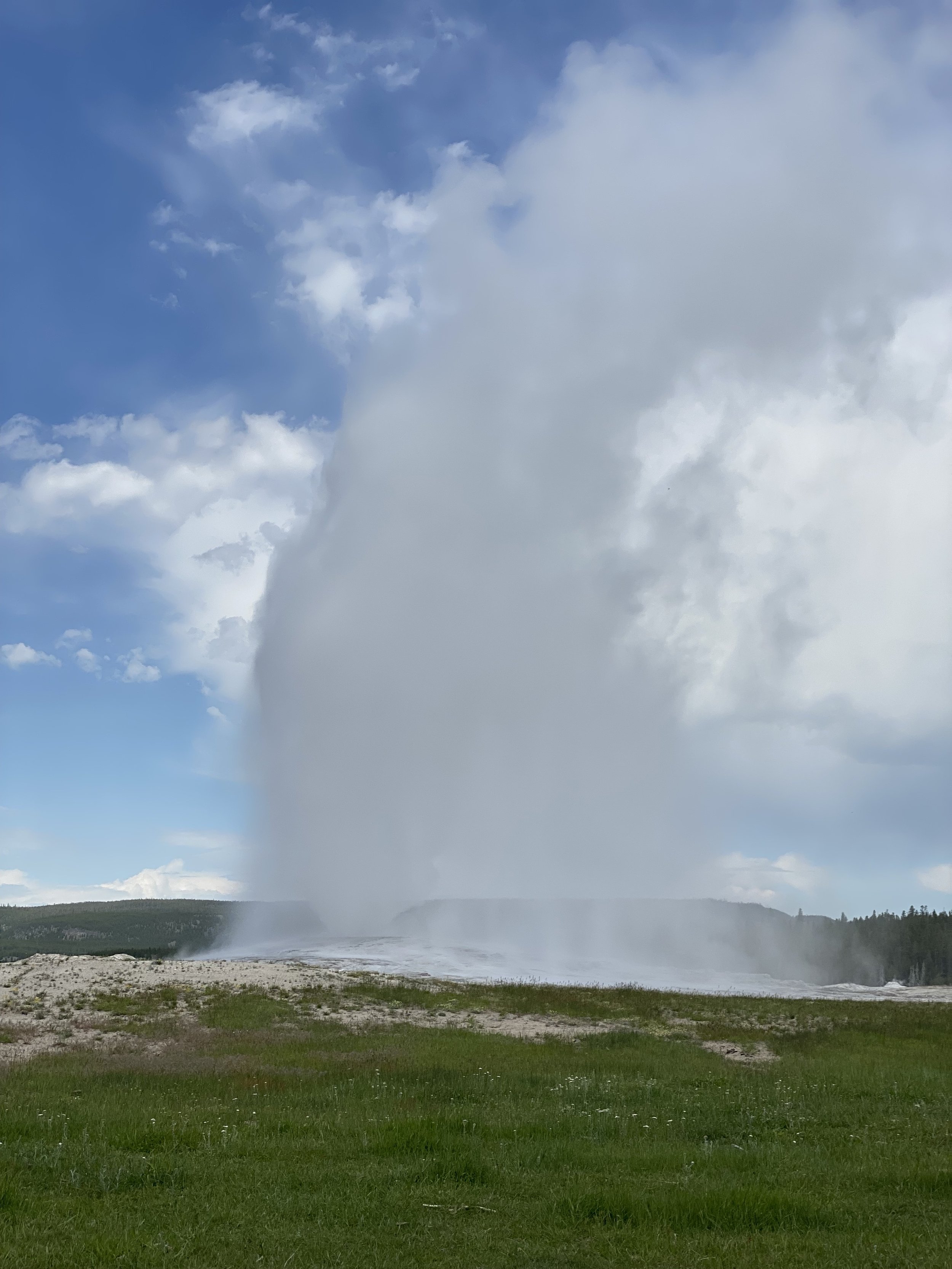 YNP Old Faithful.jpeg