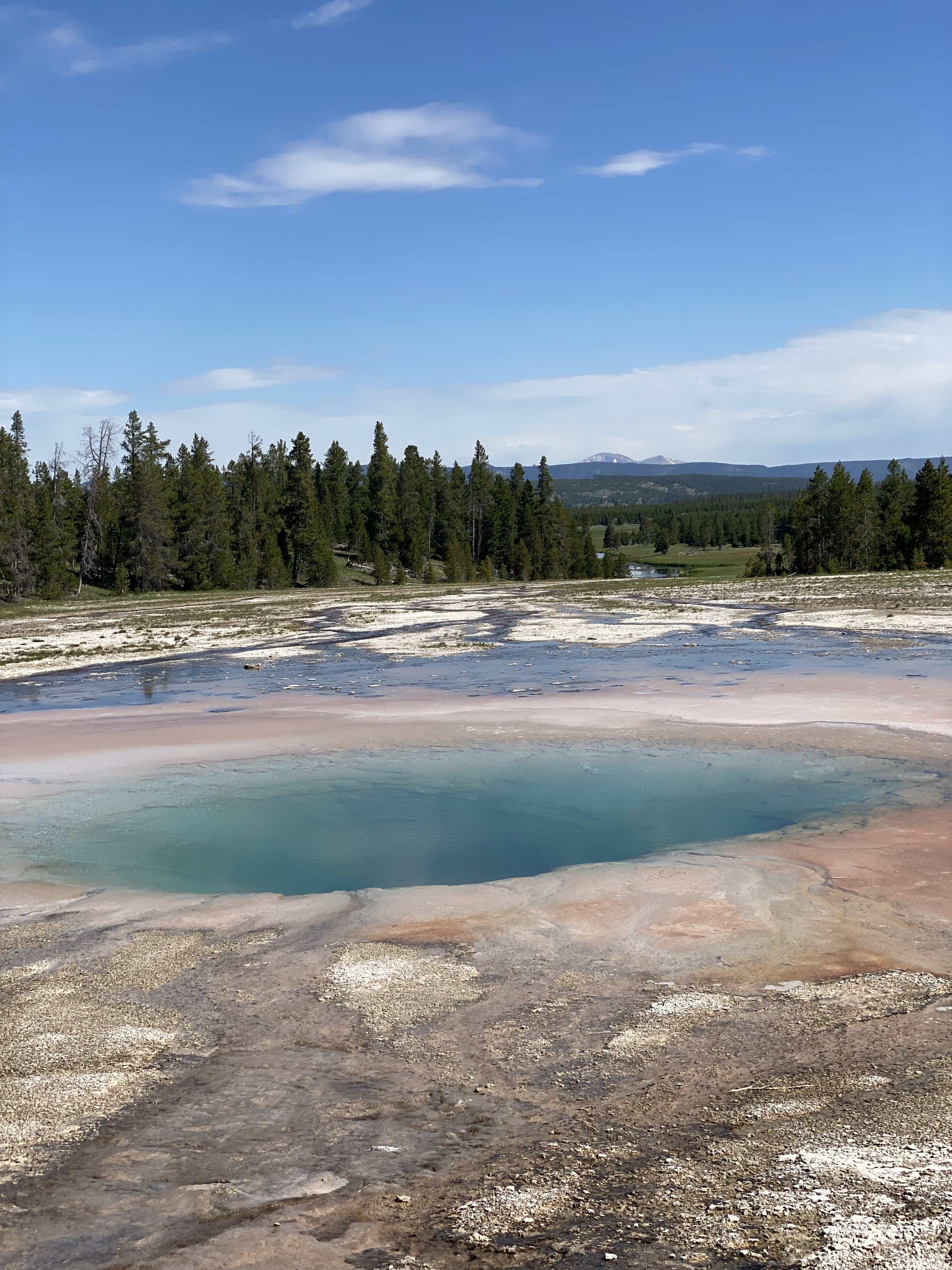 YNP Thermal Pool with a view.jpeg