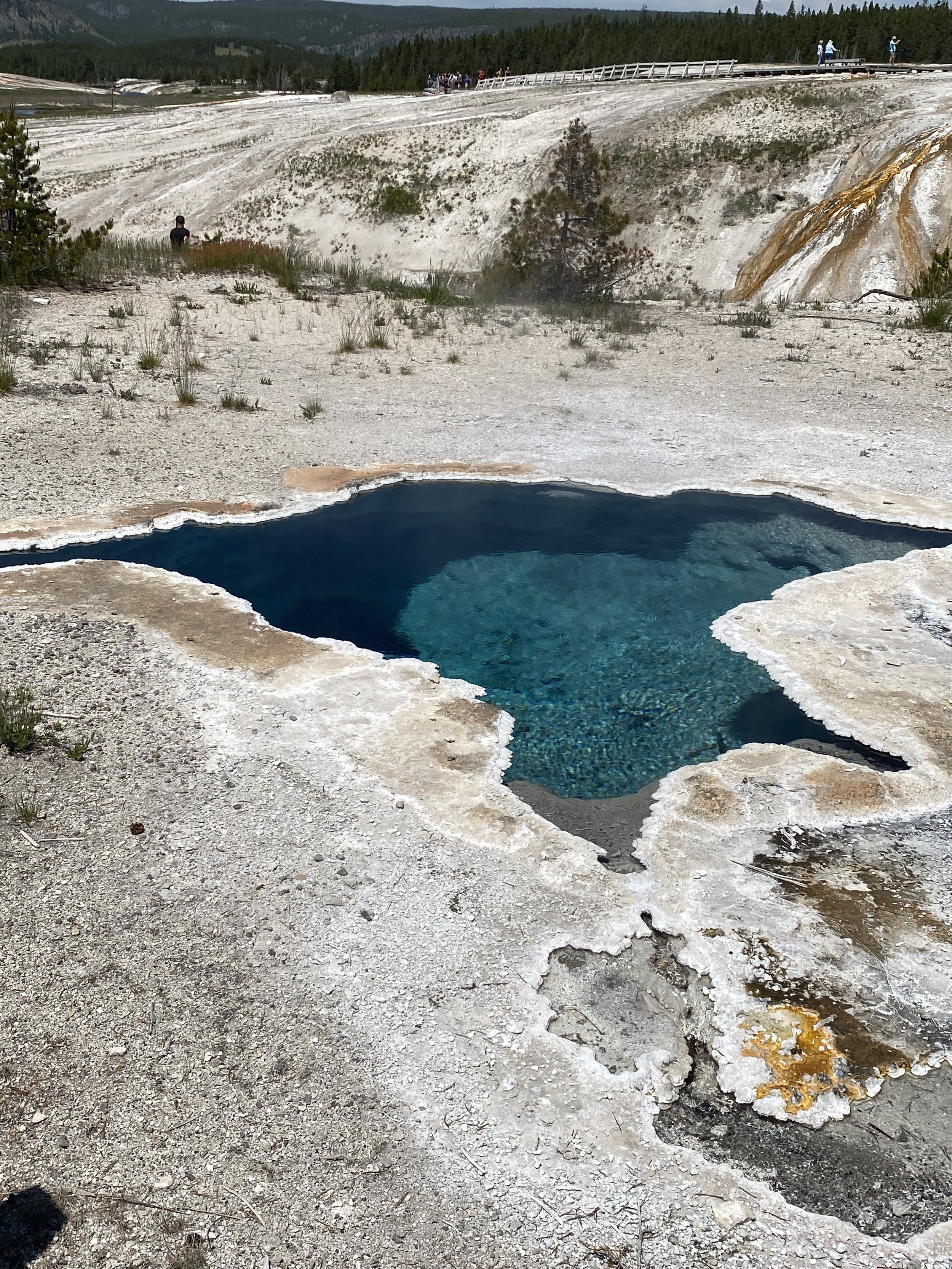 YNP Turqoise Thermal Pool.jpeg