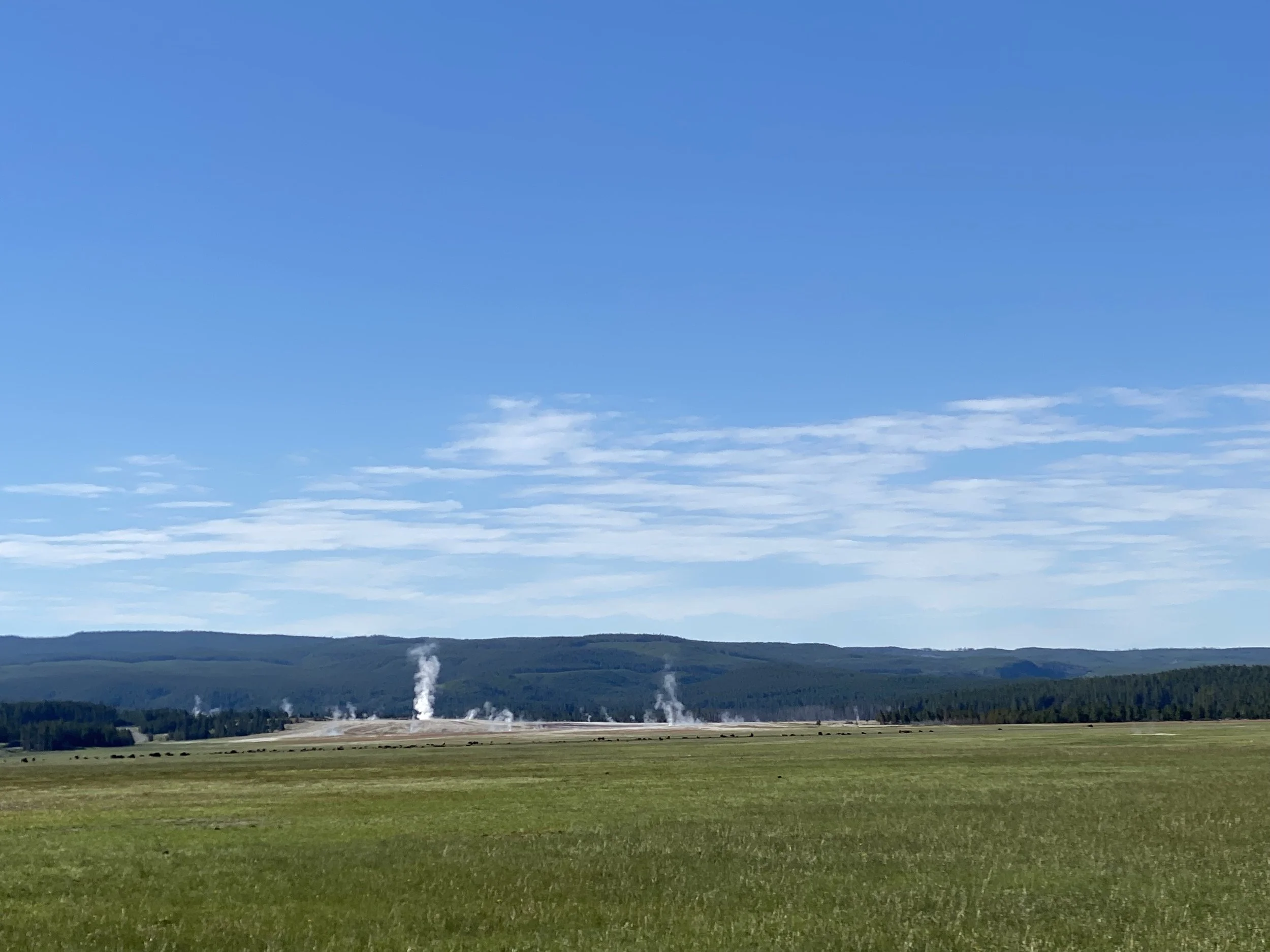YNP geysers in background.jpeg