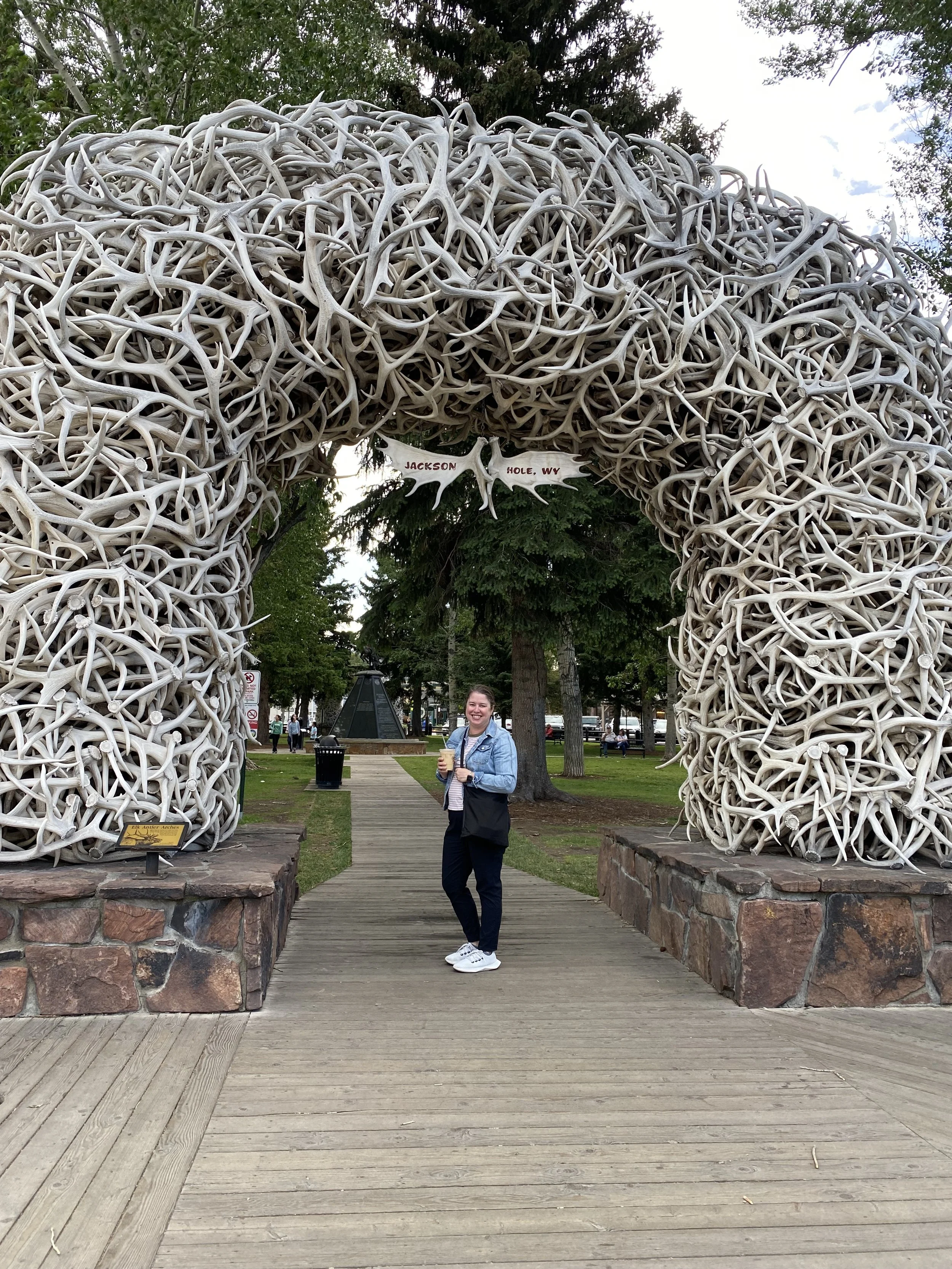 E in Jackson Elk Horn.jpeg
