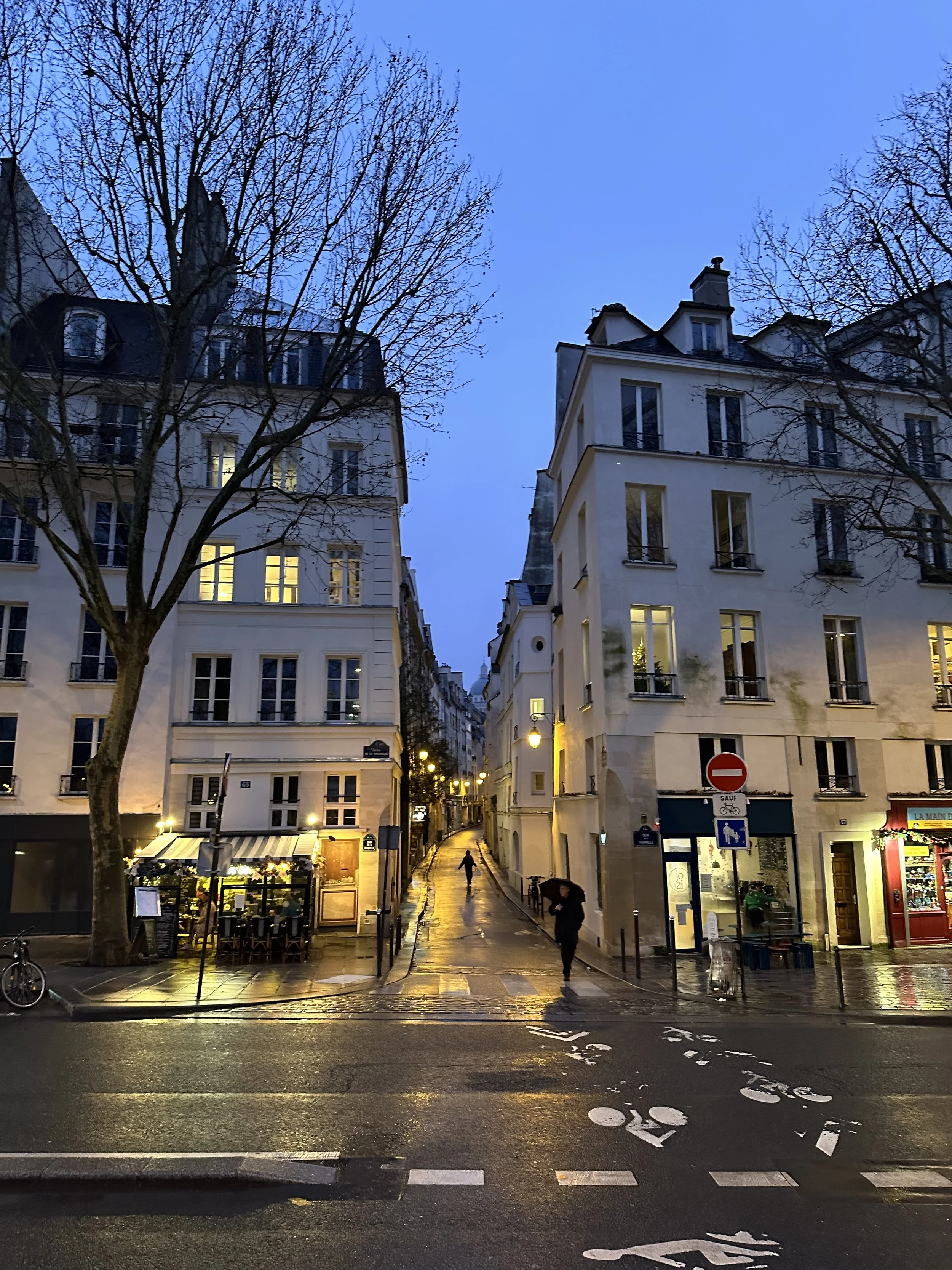 A street in Paris, France after the sun has gone down but not yet full dark