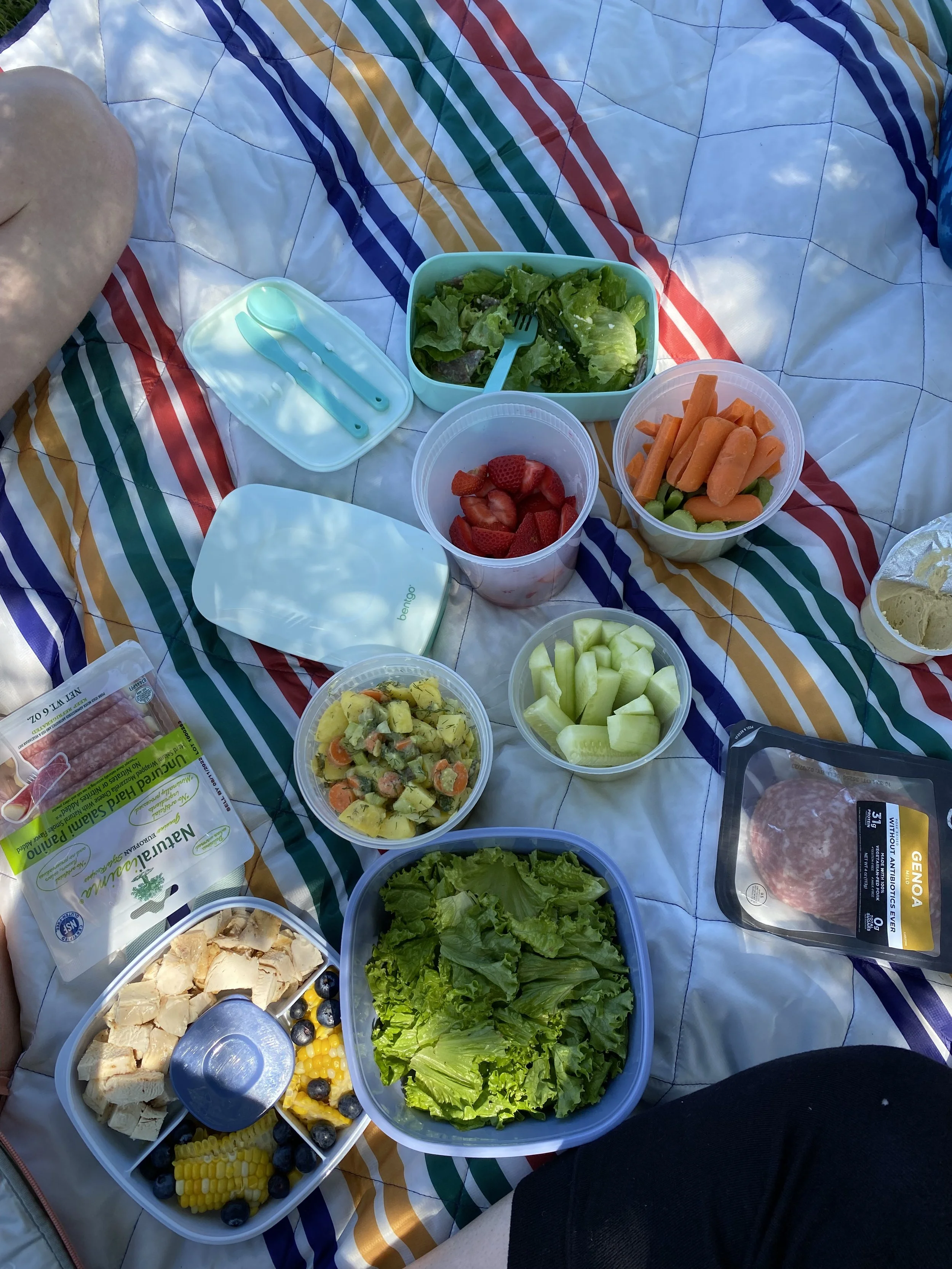 Picnic spread