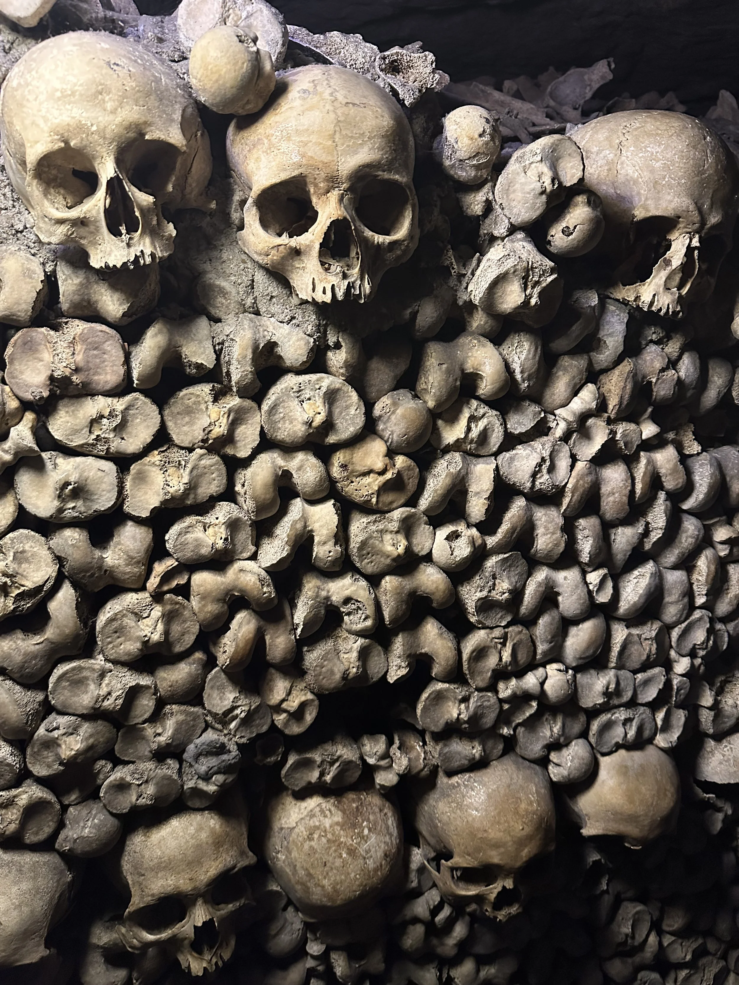 Skulls and bones in the Catacombs of Paris, France