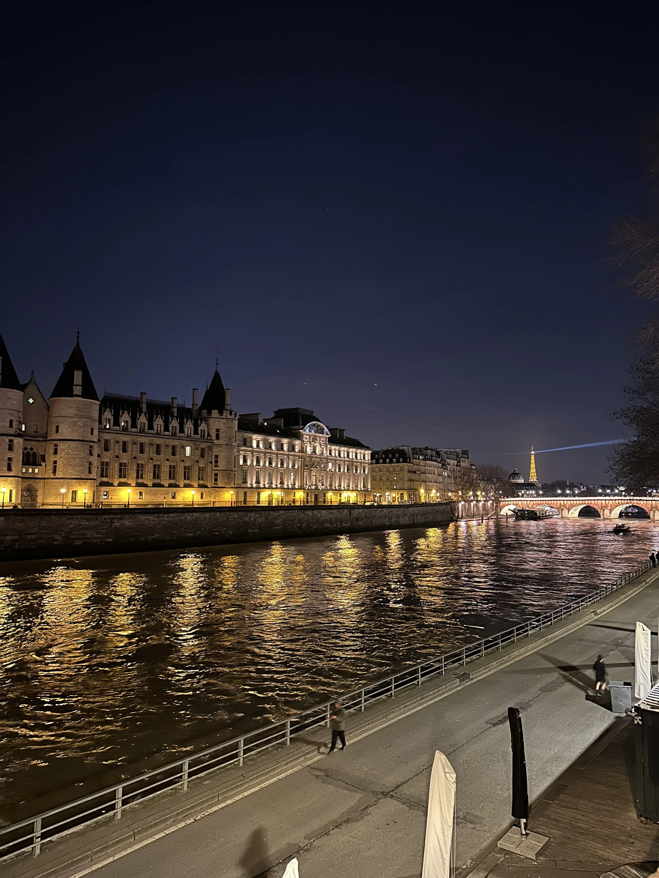 The Seine River at night with the Eiffel Tower in the background. Paris, France