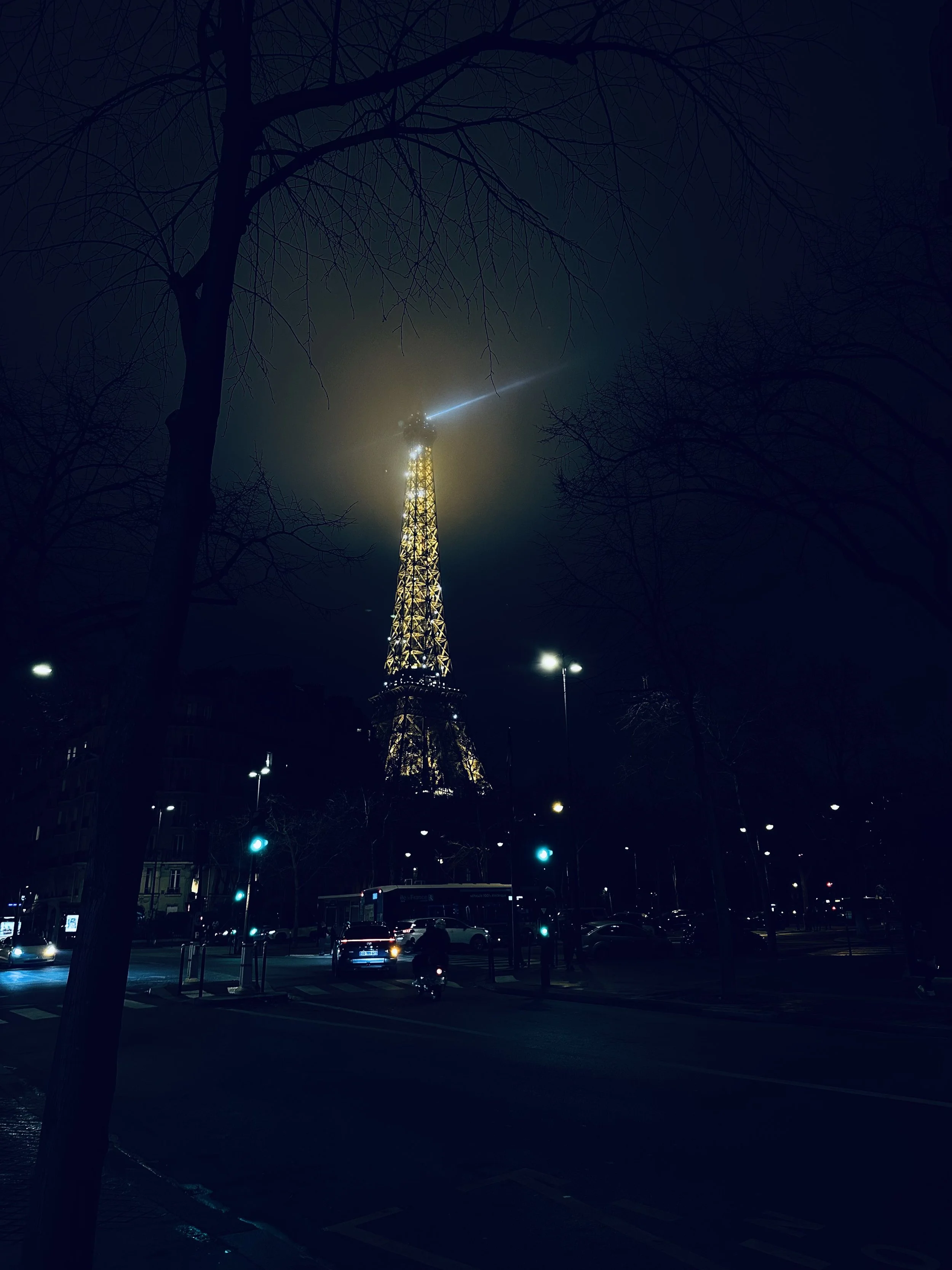 The Eiffel Tower at night, during it's five minutes of sparkling on the hour. Paris, France