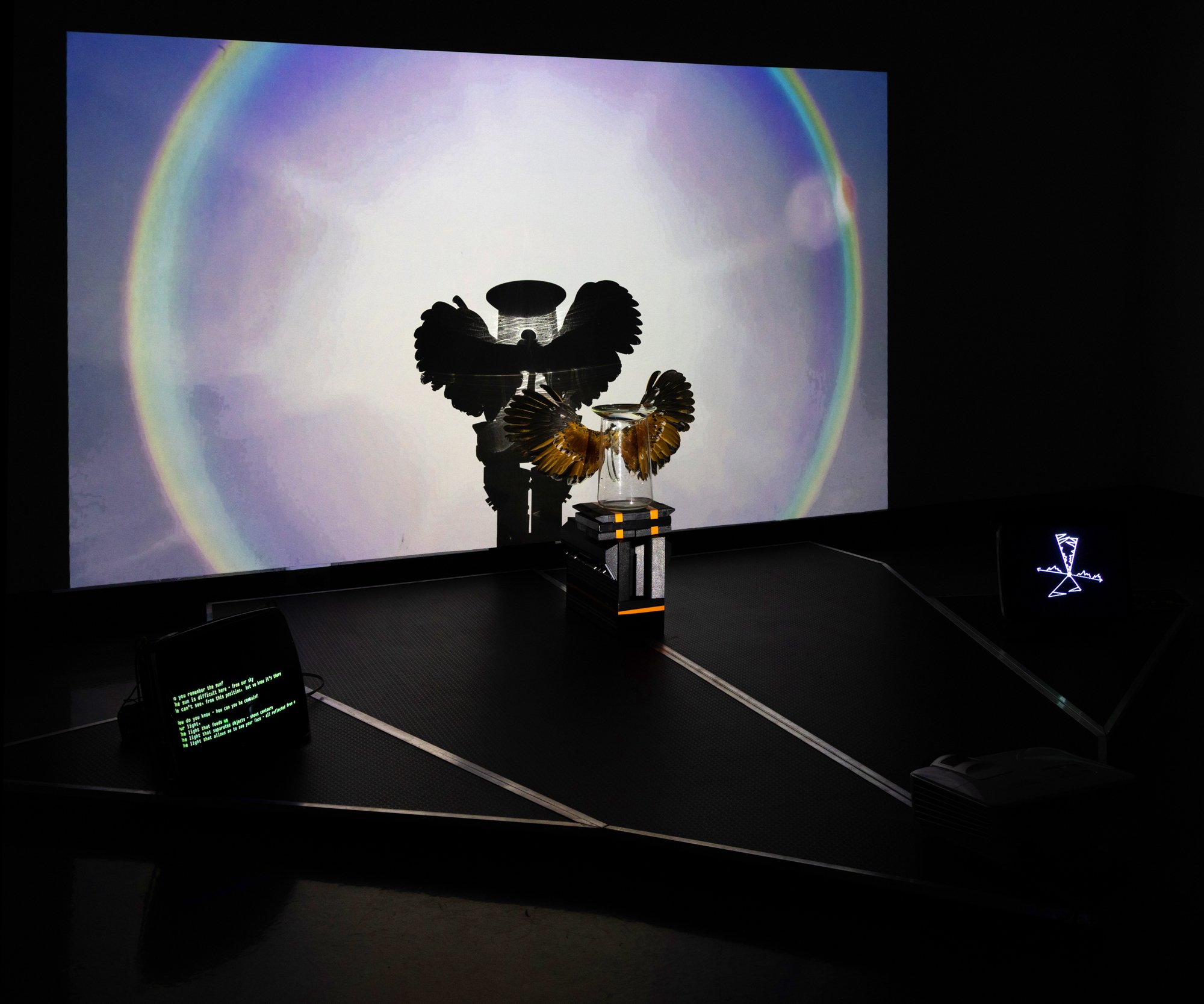 DYRTS_thesis_show-2.jpg