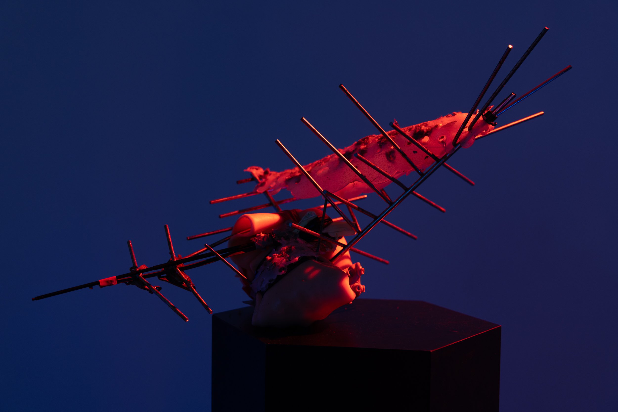 antenna-3.jpg