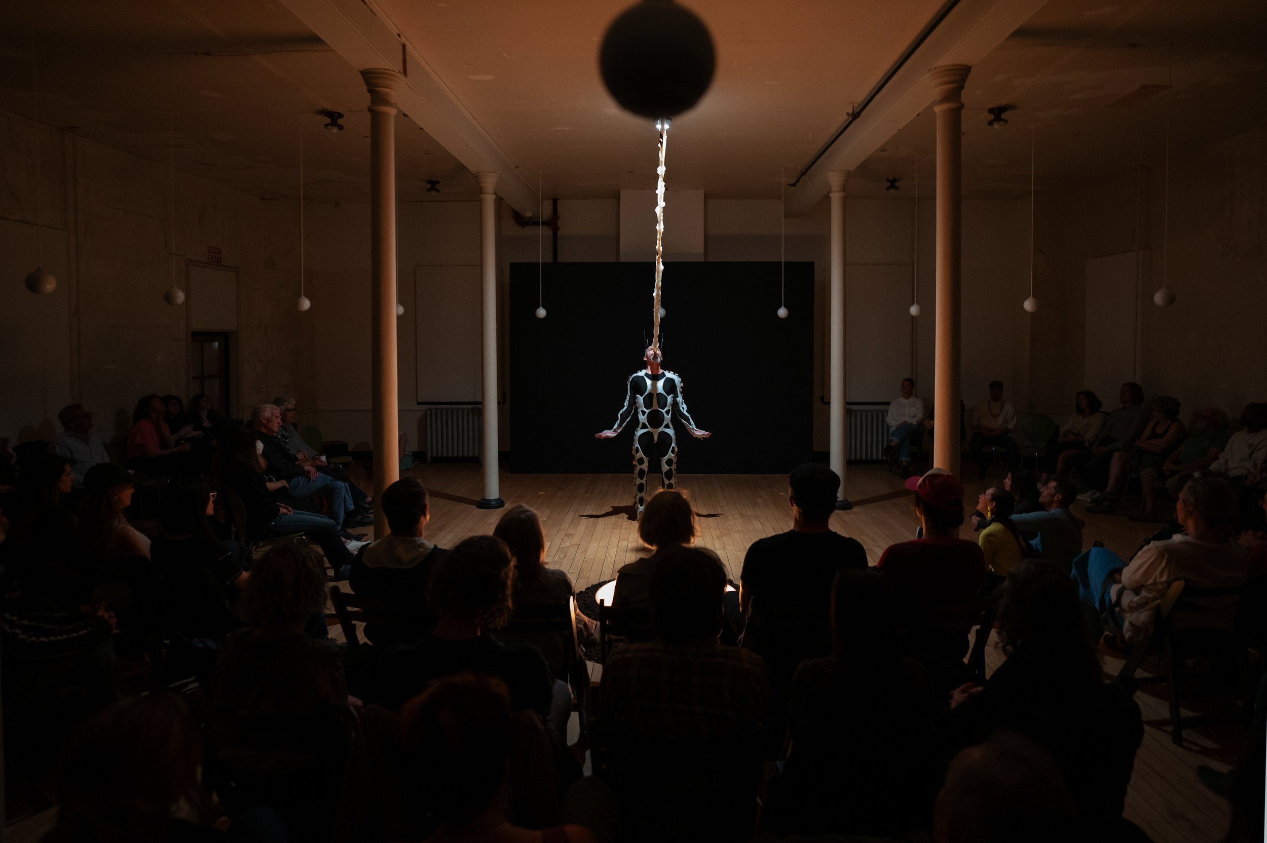 dodd_levitation-3.jpg