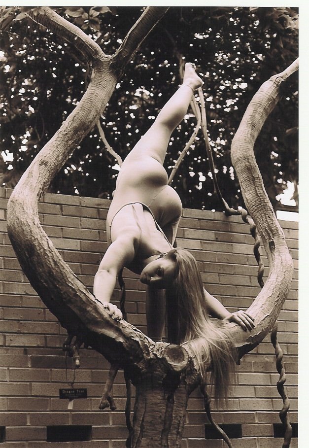 Anna Beard dragontree