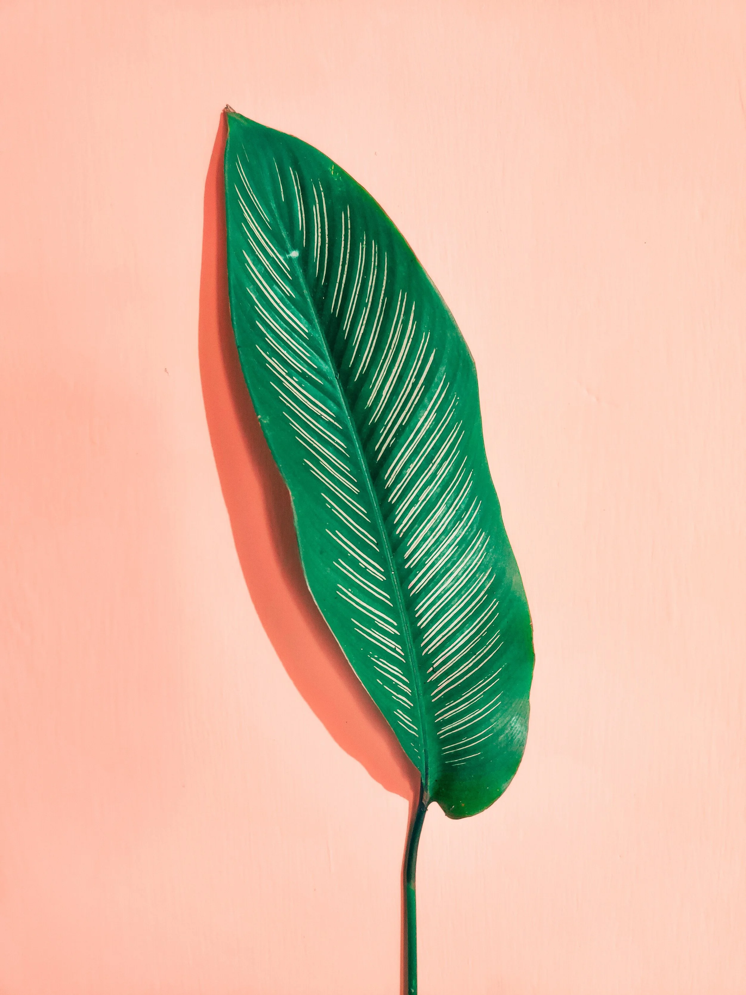 How to find a qualified Acupuncturist