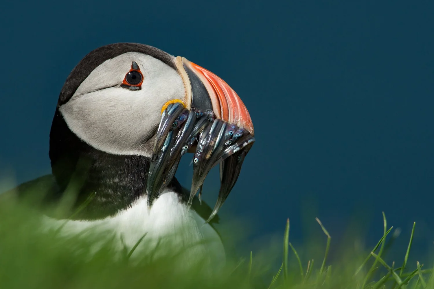 cl_20130722100921-6.jpg