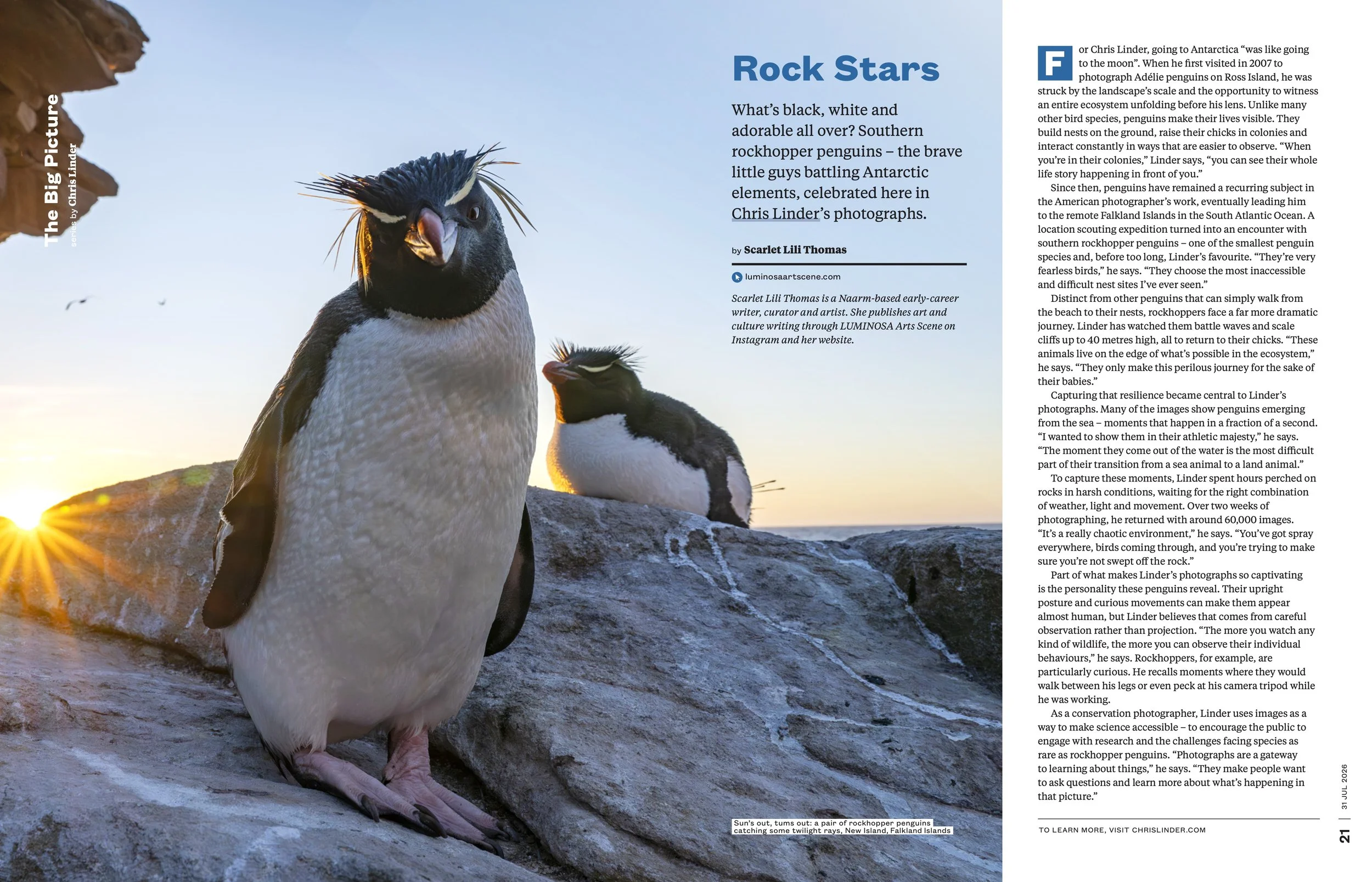 Rock Stars,  The Big Picture Australia , July 31, 2026