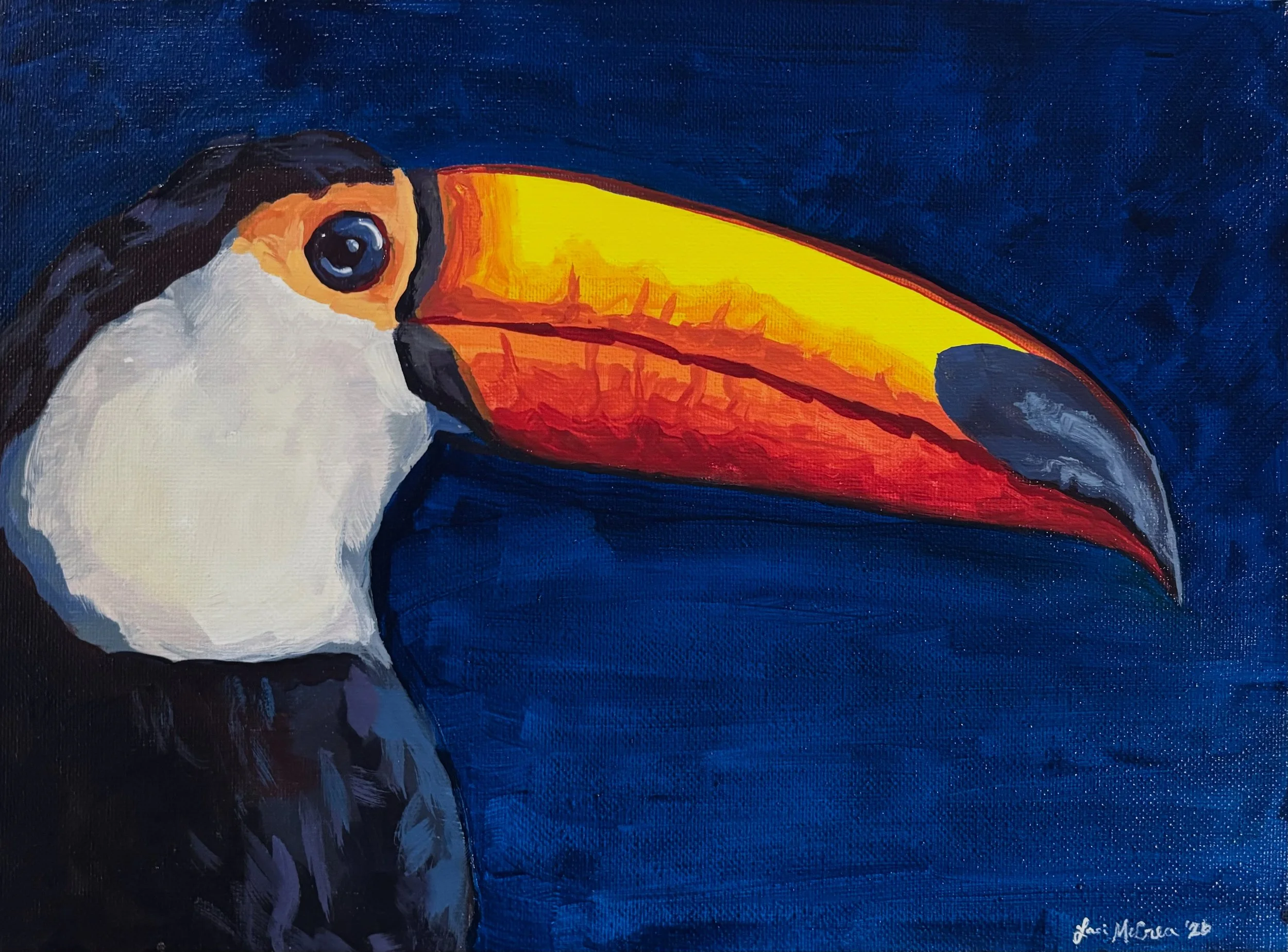 Toucan Face by Laci McCrea