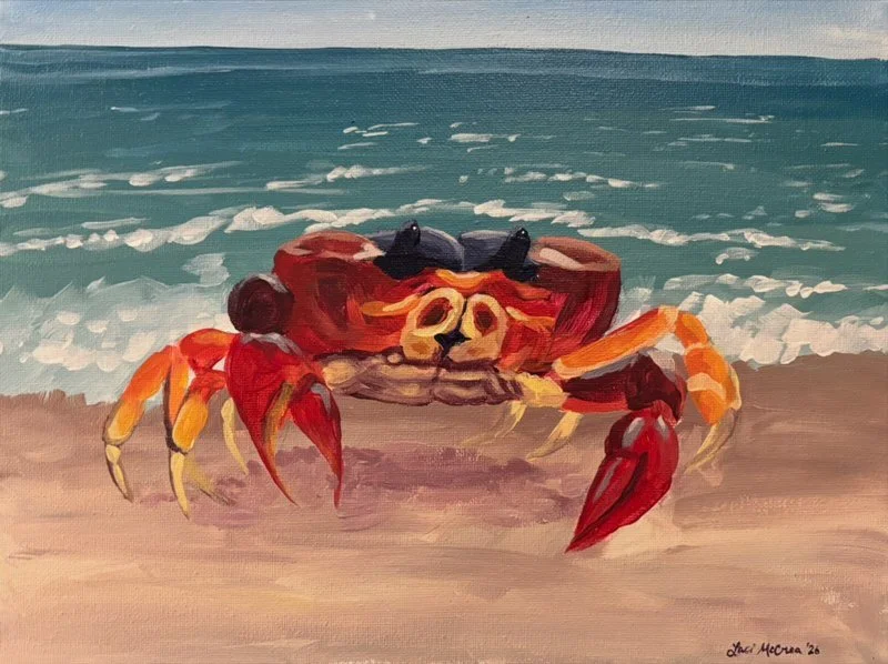 Crab Face by Laci McCrea