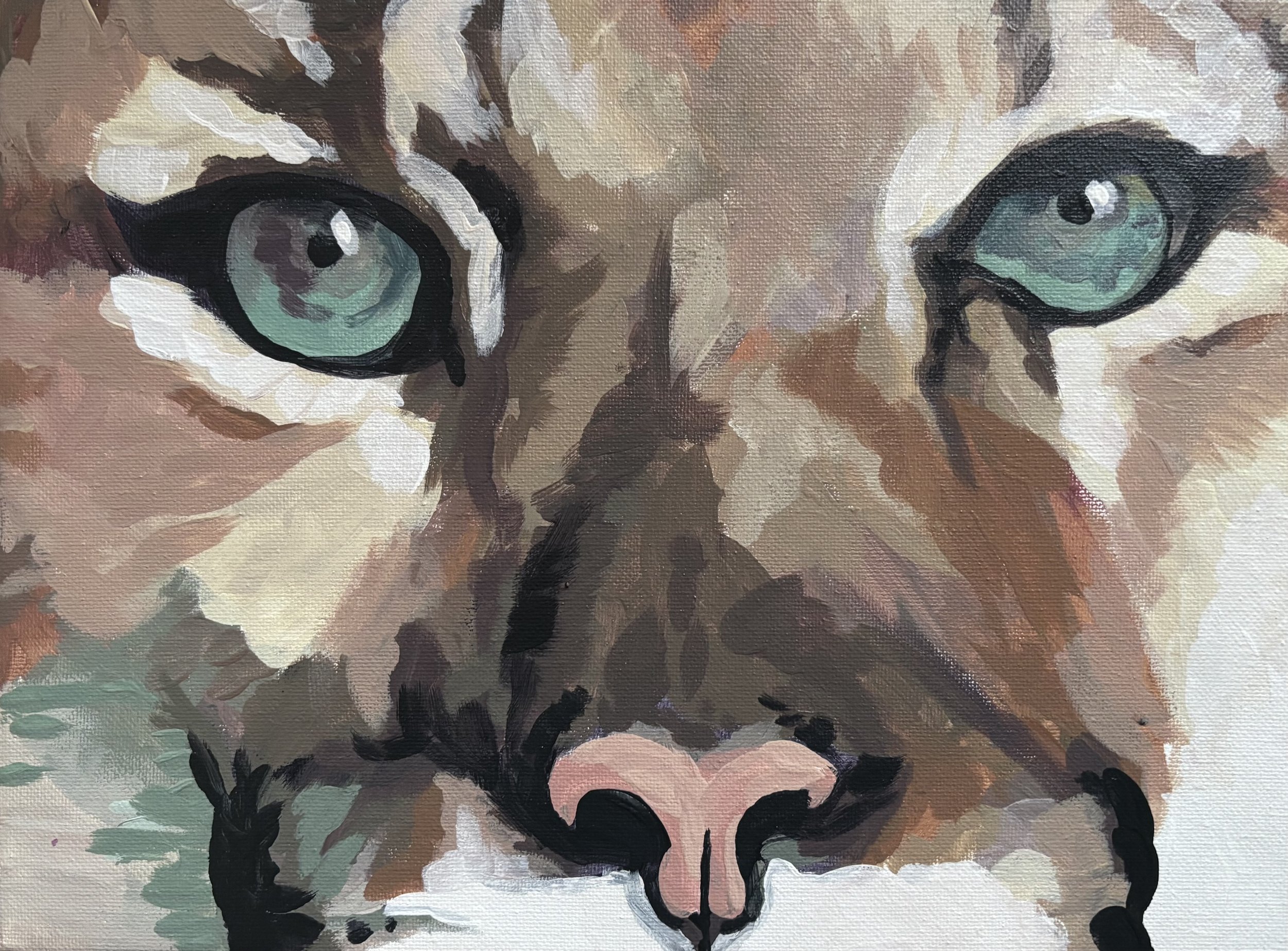 Cougar Face by Laci McCrea