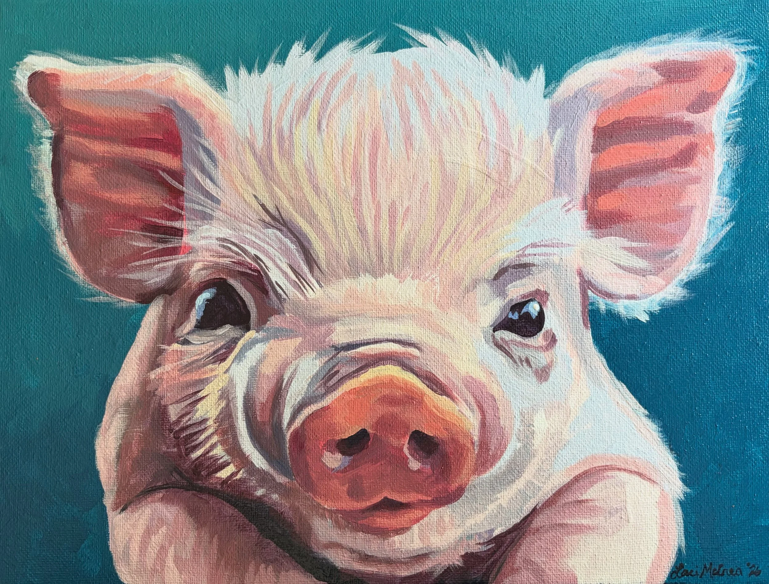 Piglet Face by Laci McCrea