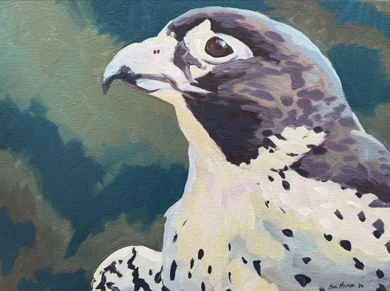 Offsprey Harkins.JPG