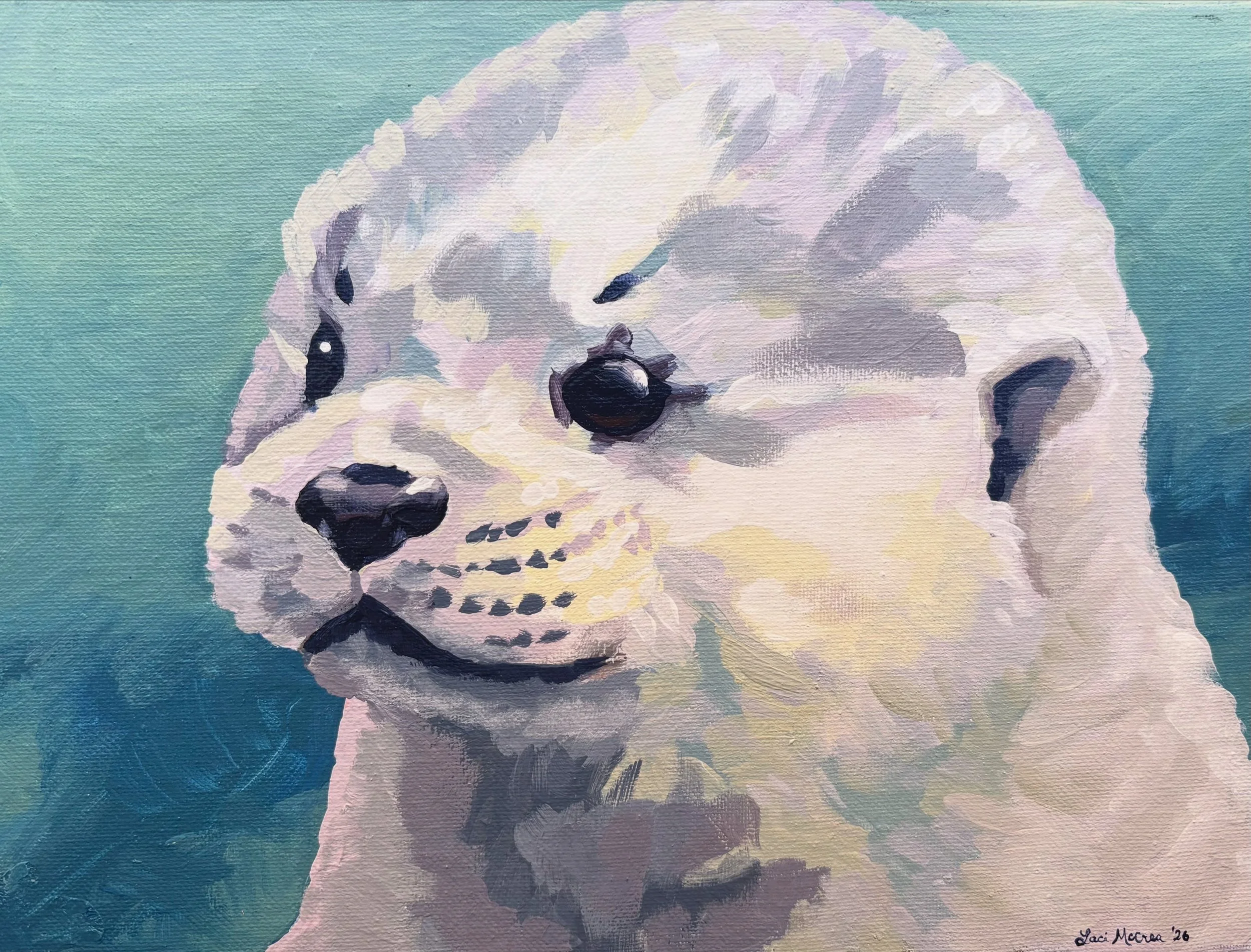 Baby White Otter Face