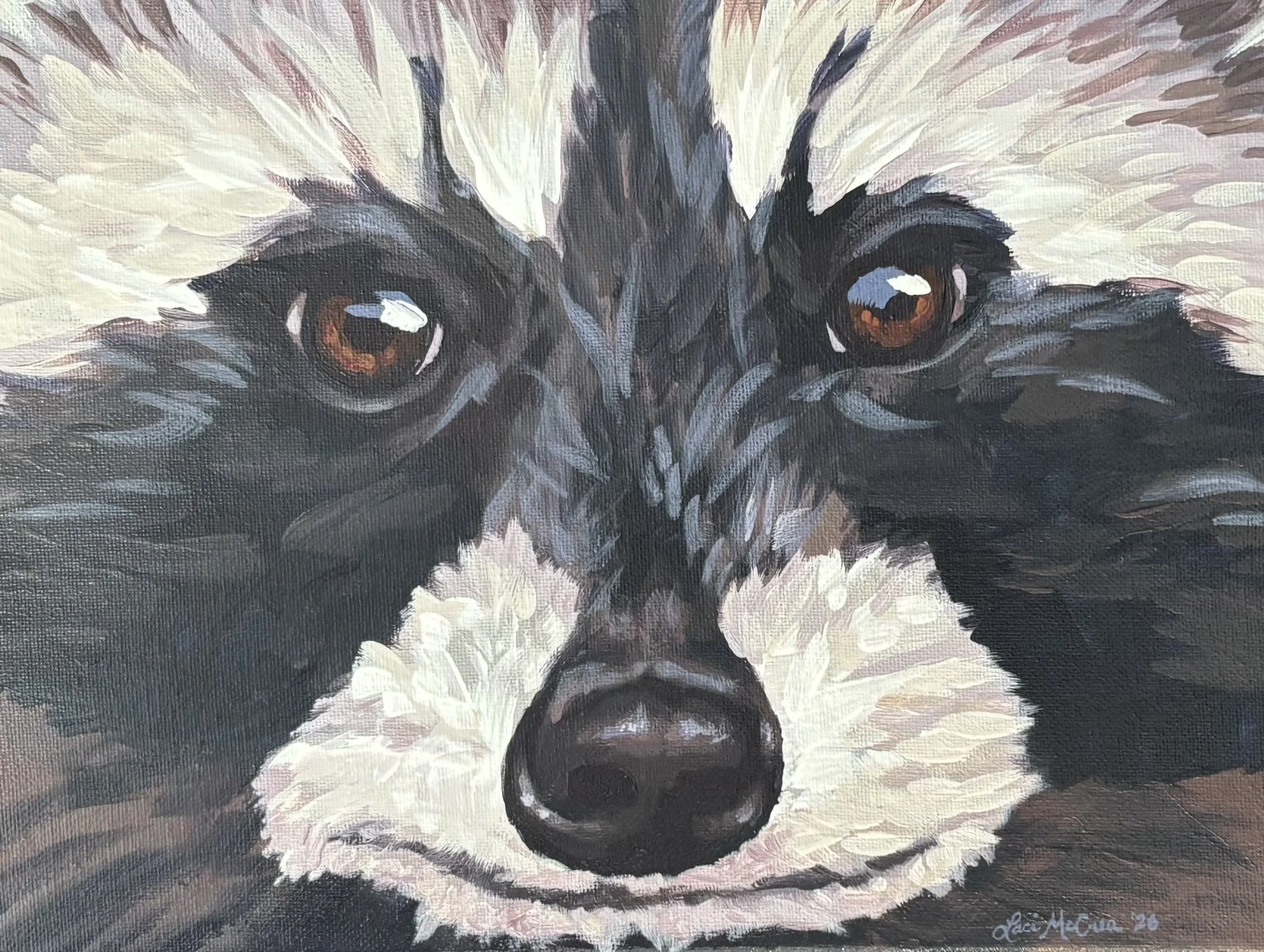 Coon Face by Laci McCrea