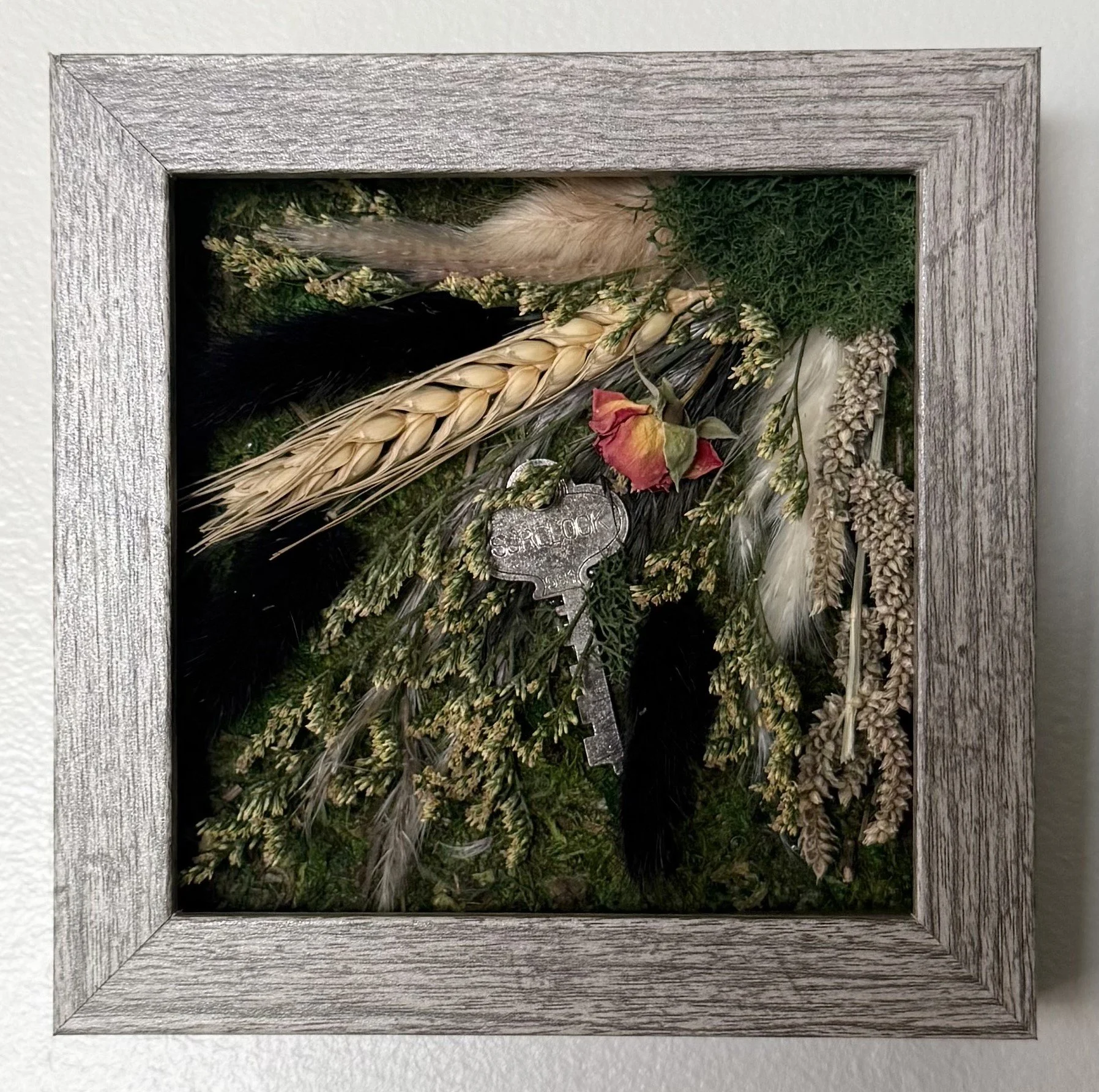 Moss Key Hollow (5x5).jpeg