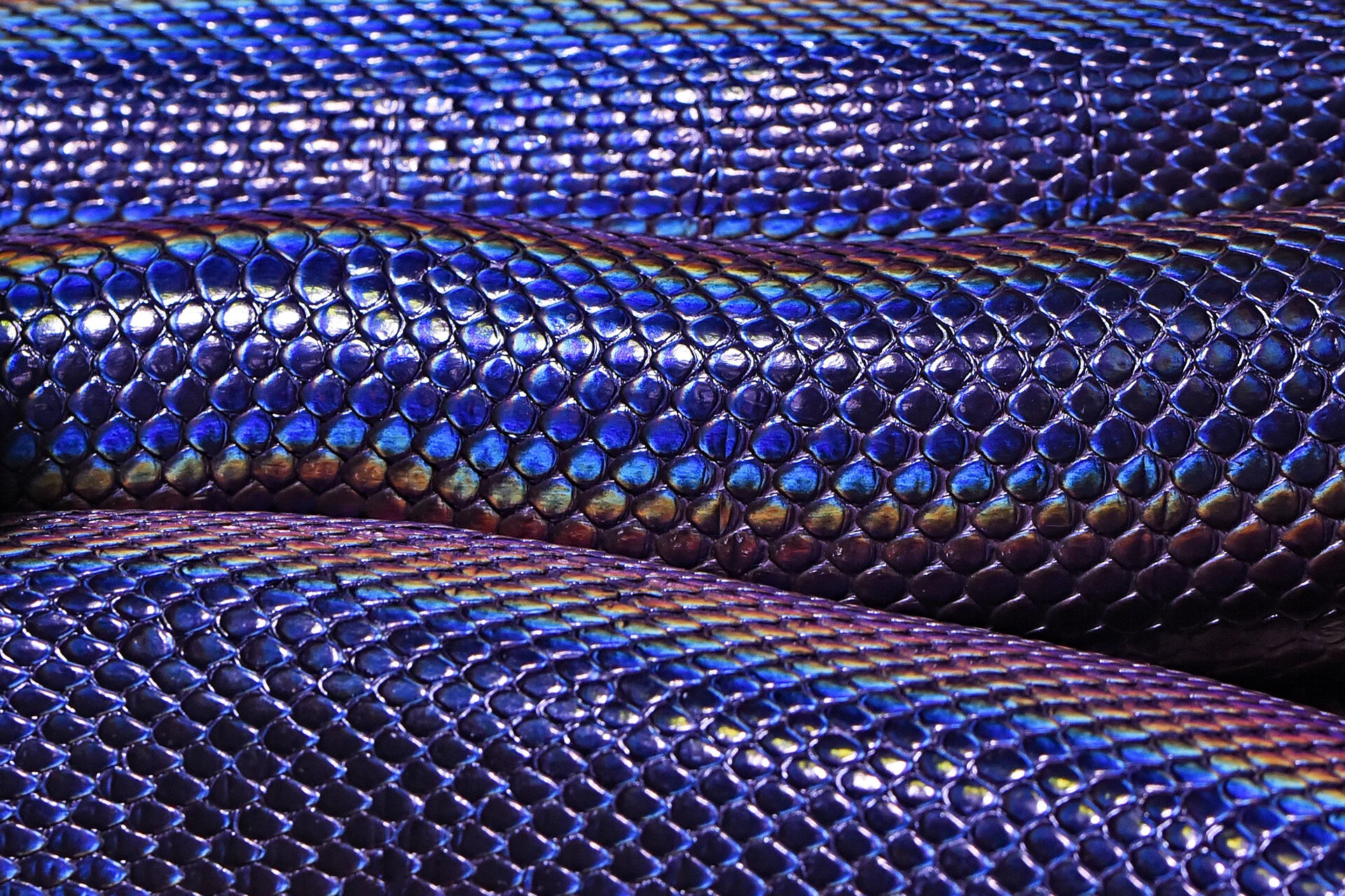 Defeating the Python Spirit