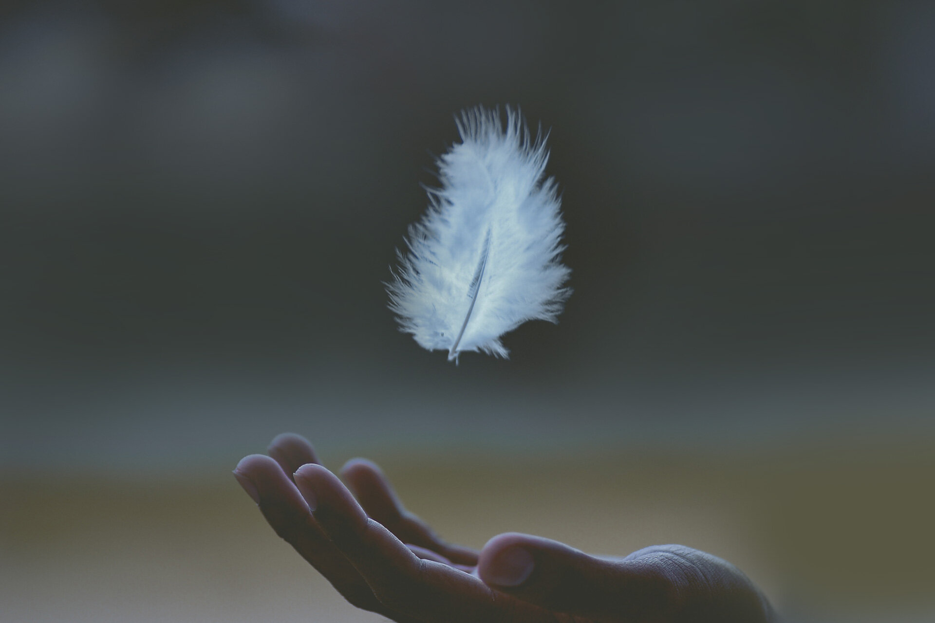 Angel Feathers Started Appearing Everywhere!
