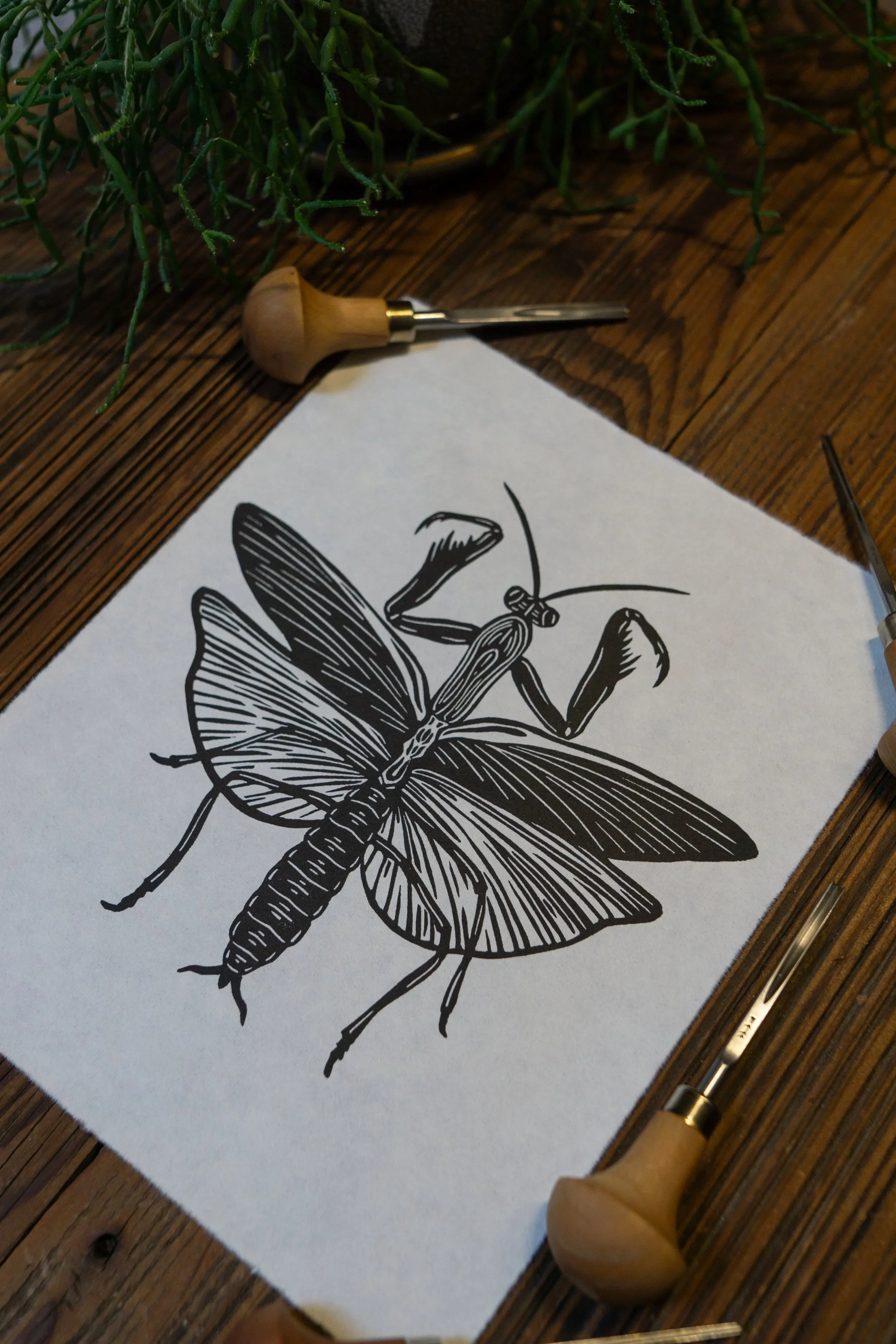 DSC08918.jpg