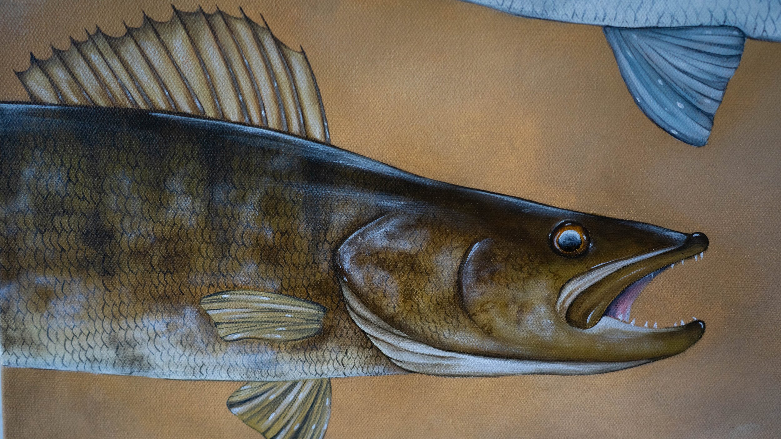 Musky, Bass & Walleye Original Canvas — Piper Nunn Art