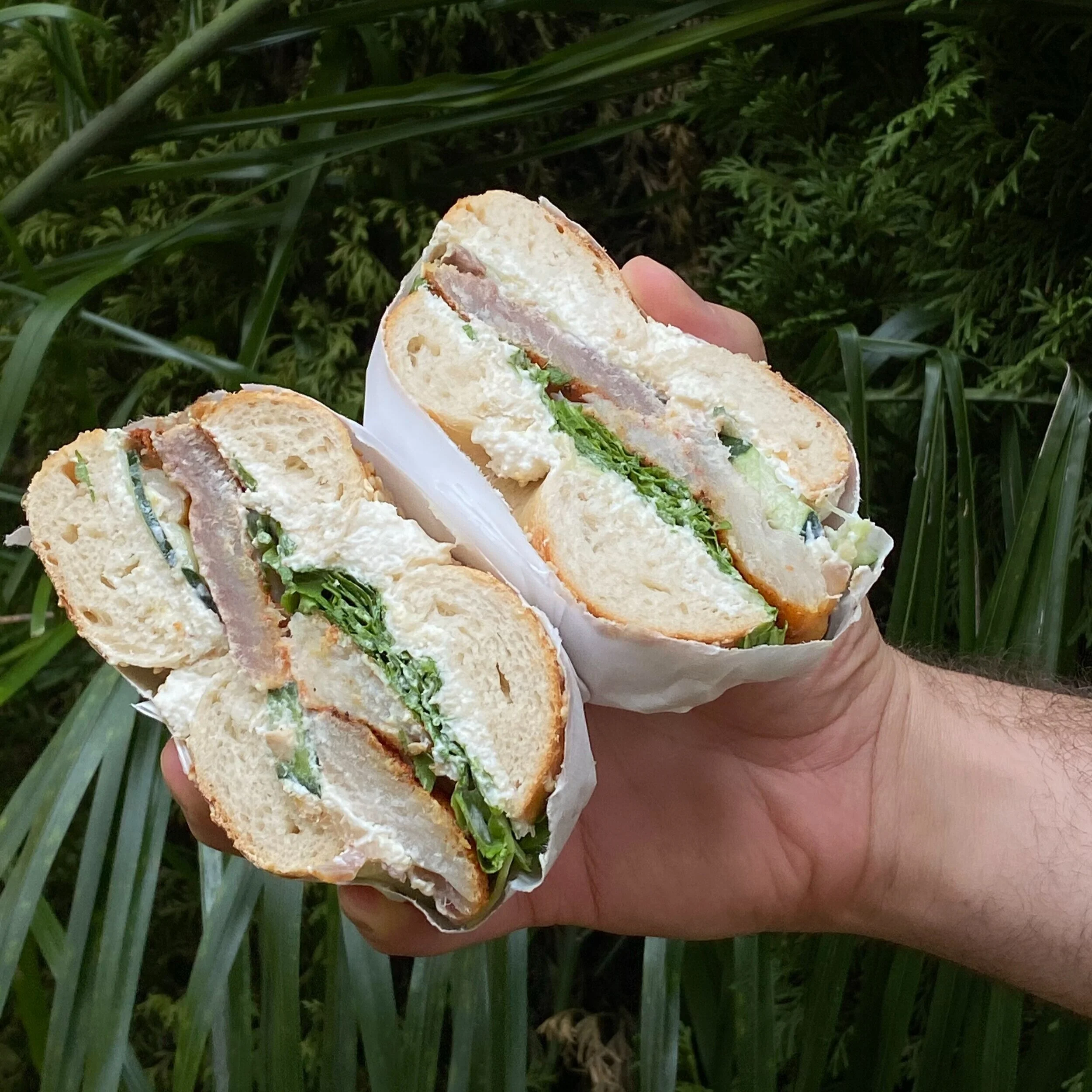 All About Whitefish