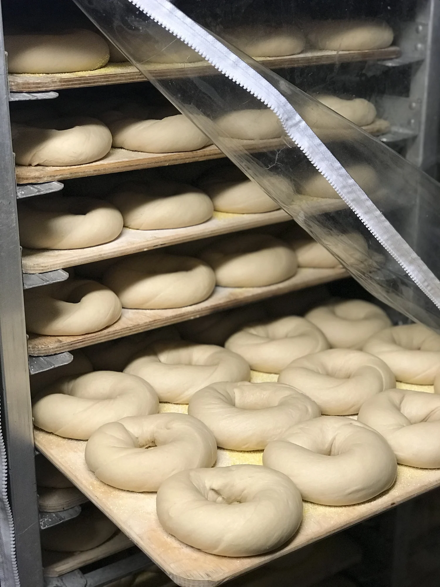 We Love Gluten — Gotham Bagels
