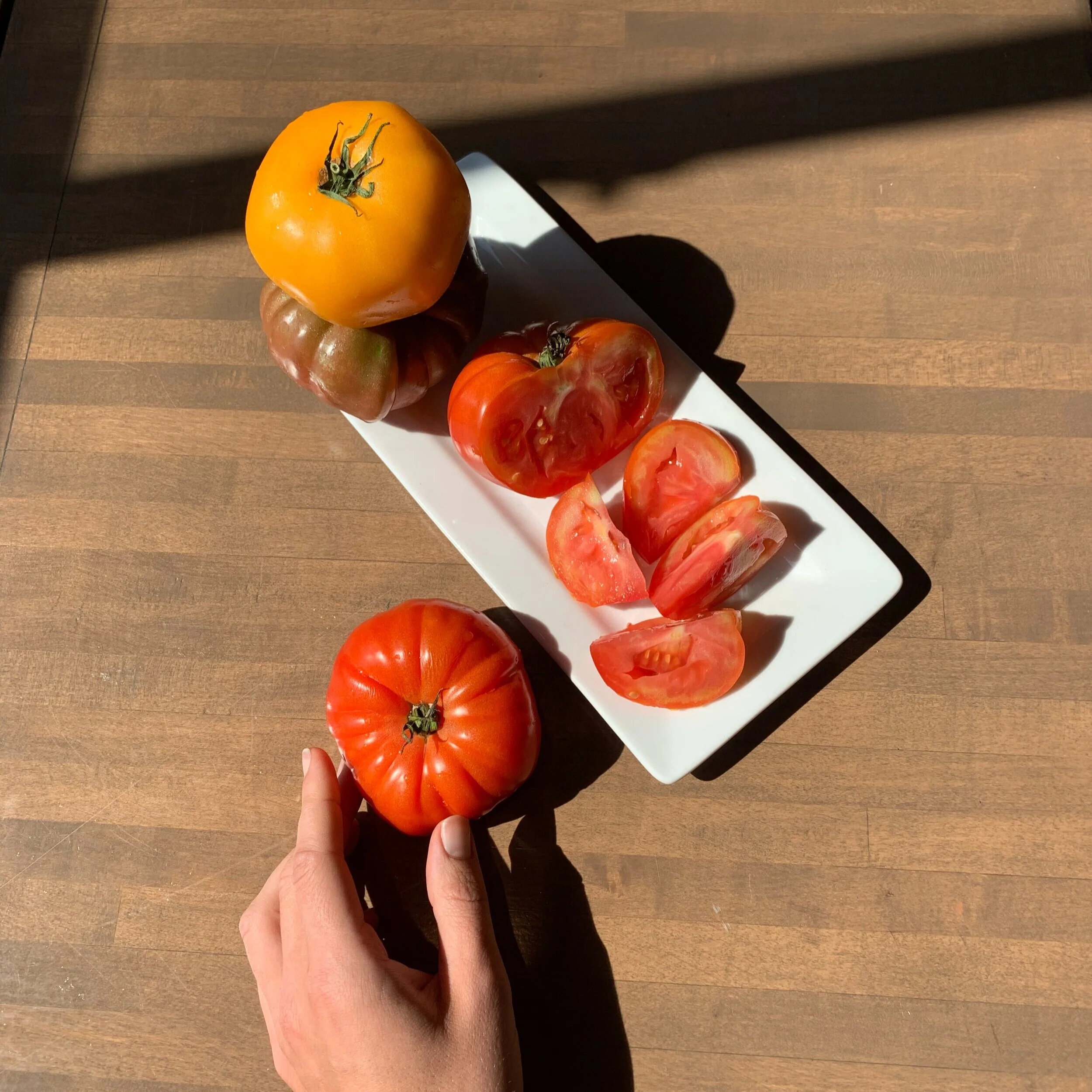 What are Heirloom Tomatoes?