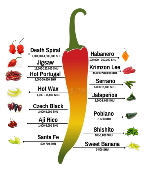 are poblano chiles spicy