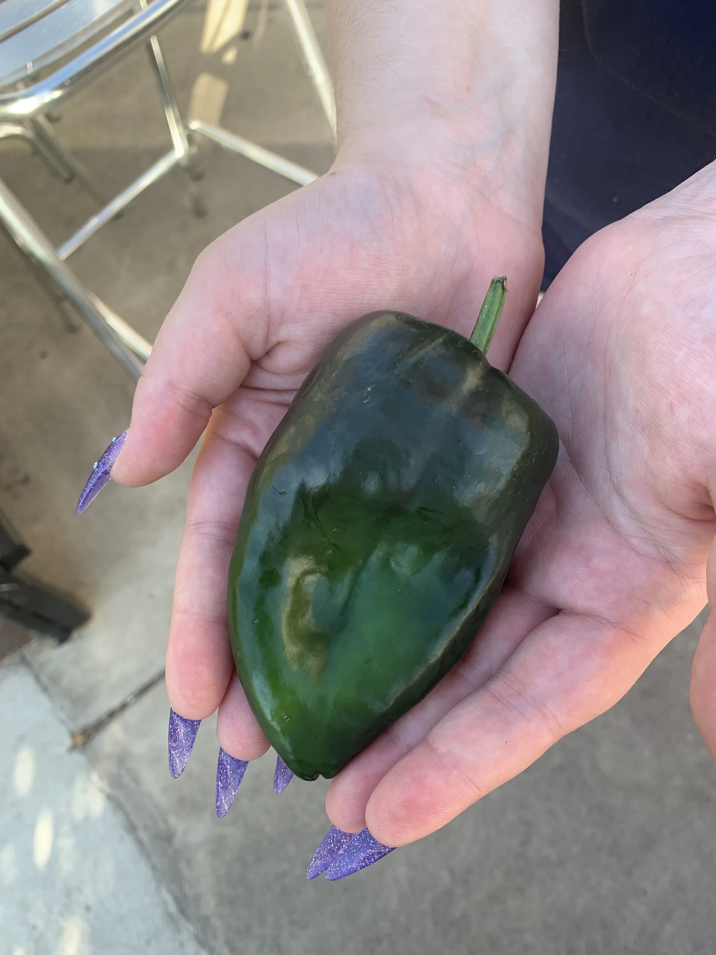 What Are Poblano Peppers? — Gotham Bagels