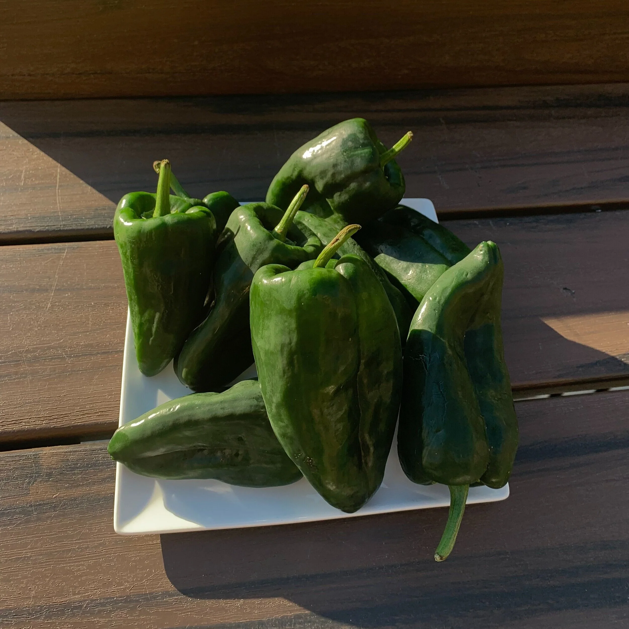 All about Poblano Peppers